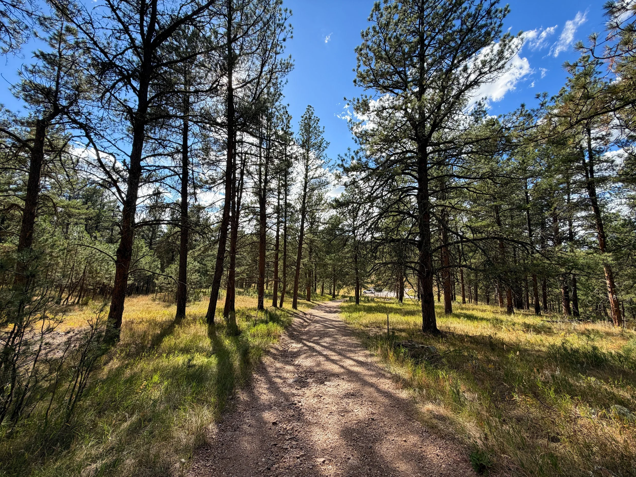 Rankin Ridge Trail Wind Cave National Park South Dakota