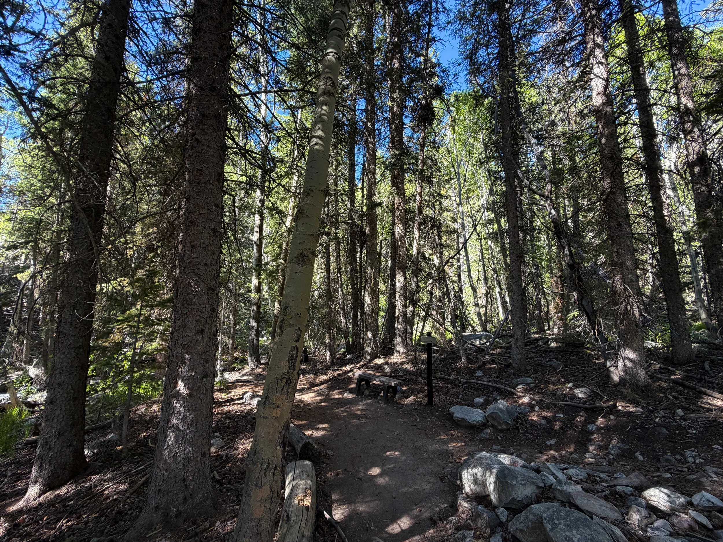 Baker Lake Trail Great Basin National Park Nevada
