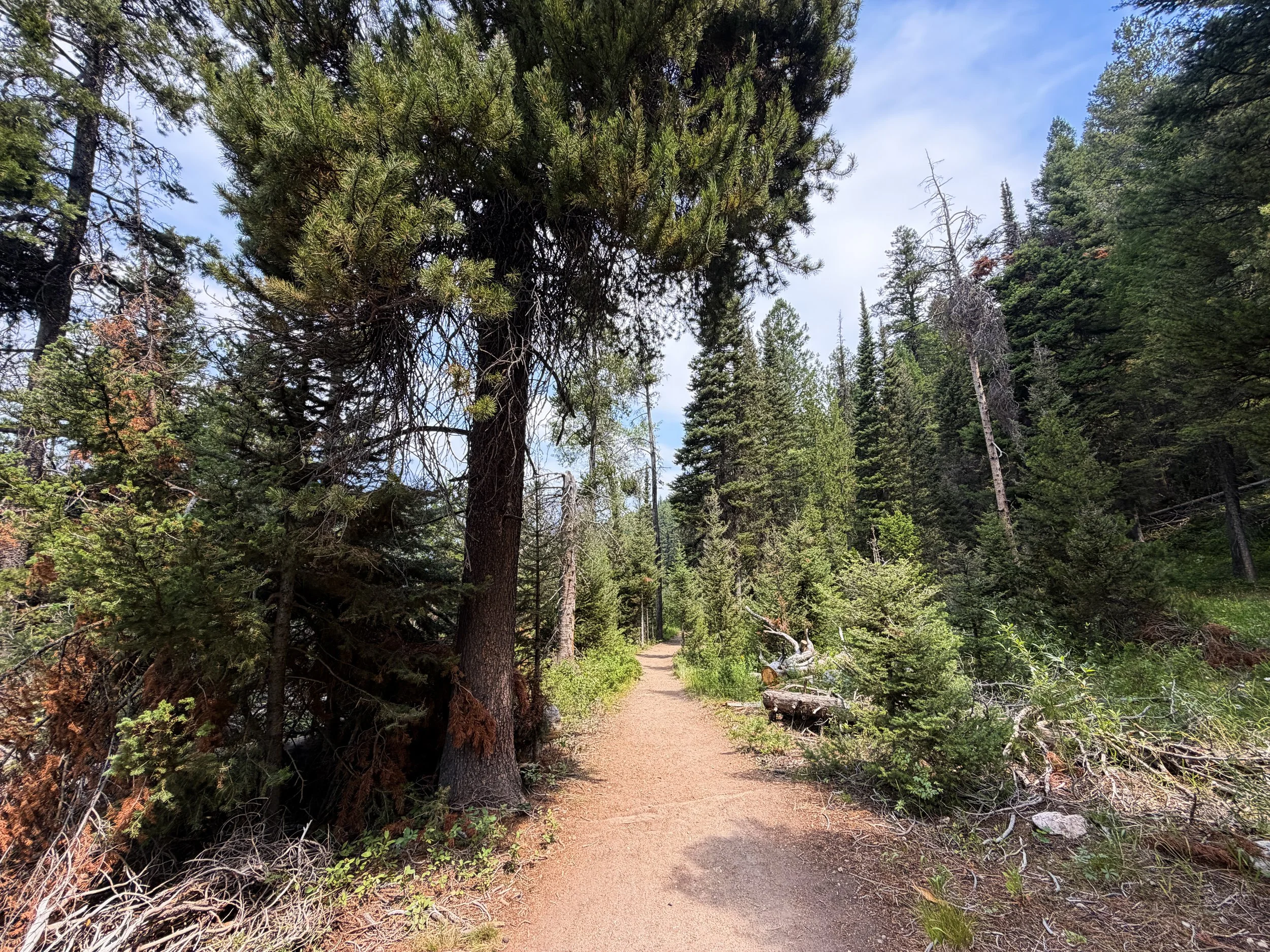 Boulder Ridge Loop Trail Grand Teton National Park Wyoming