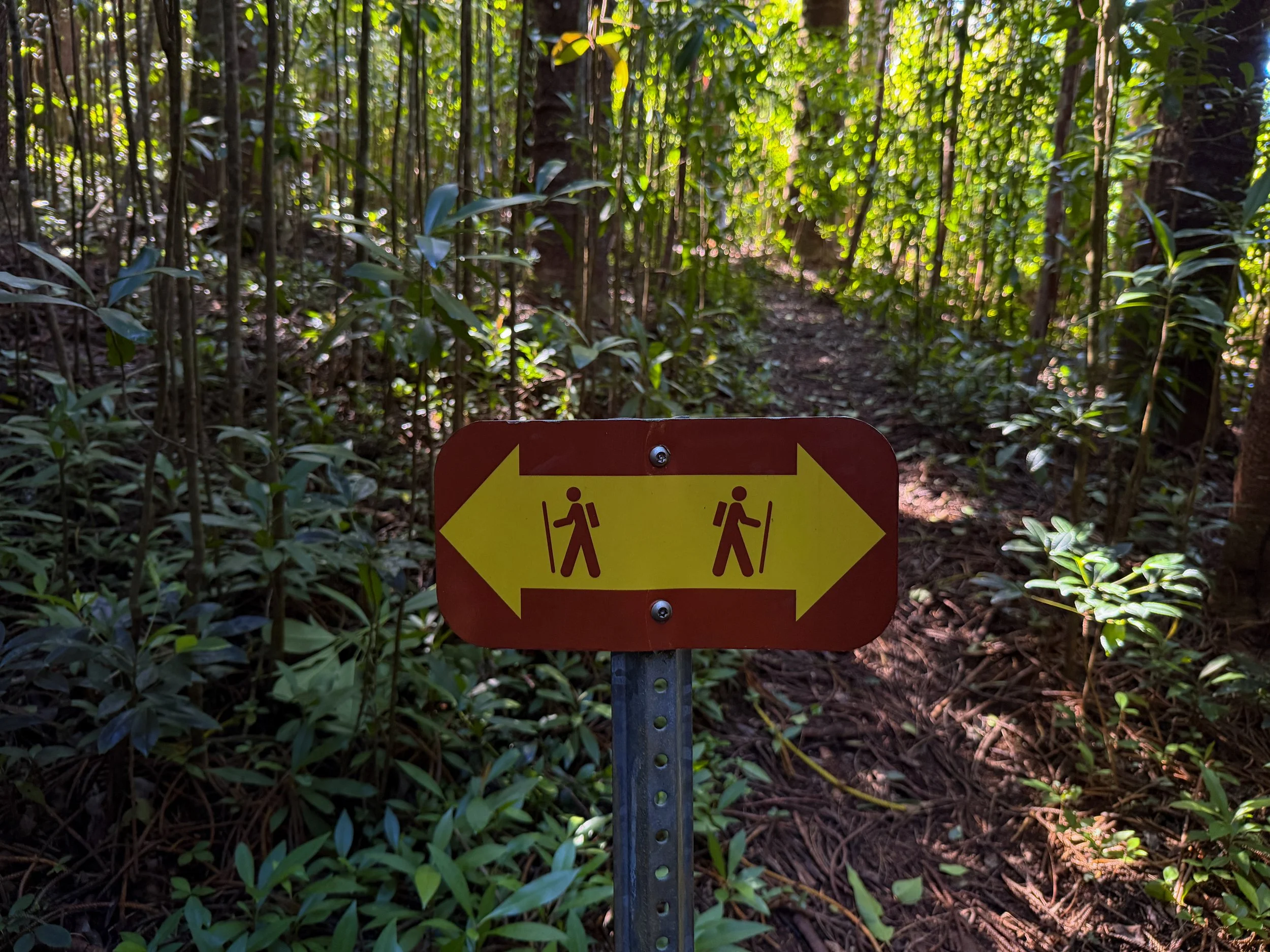 Judd Trail Oahu Hawaii