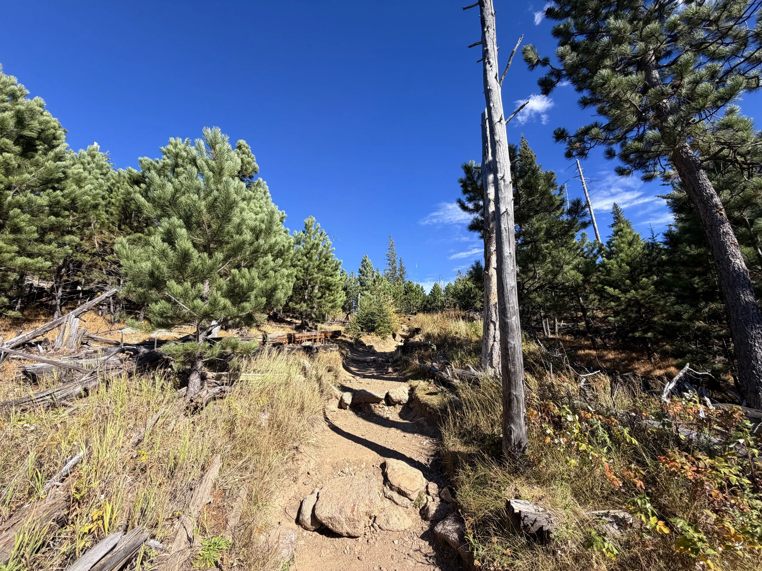 Black Elk Peak Trail to Harney Peak Lookout Black Hills South Dakota