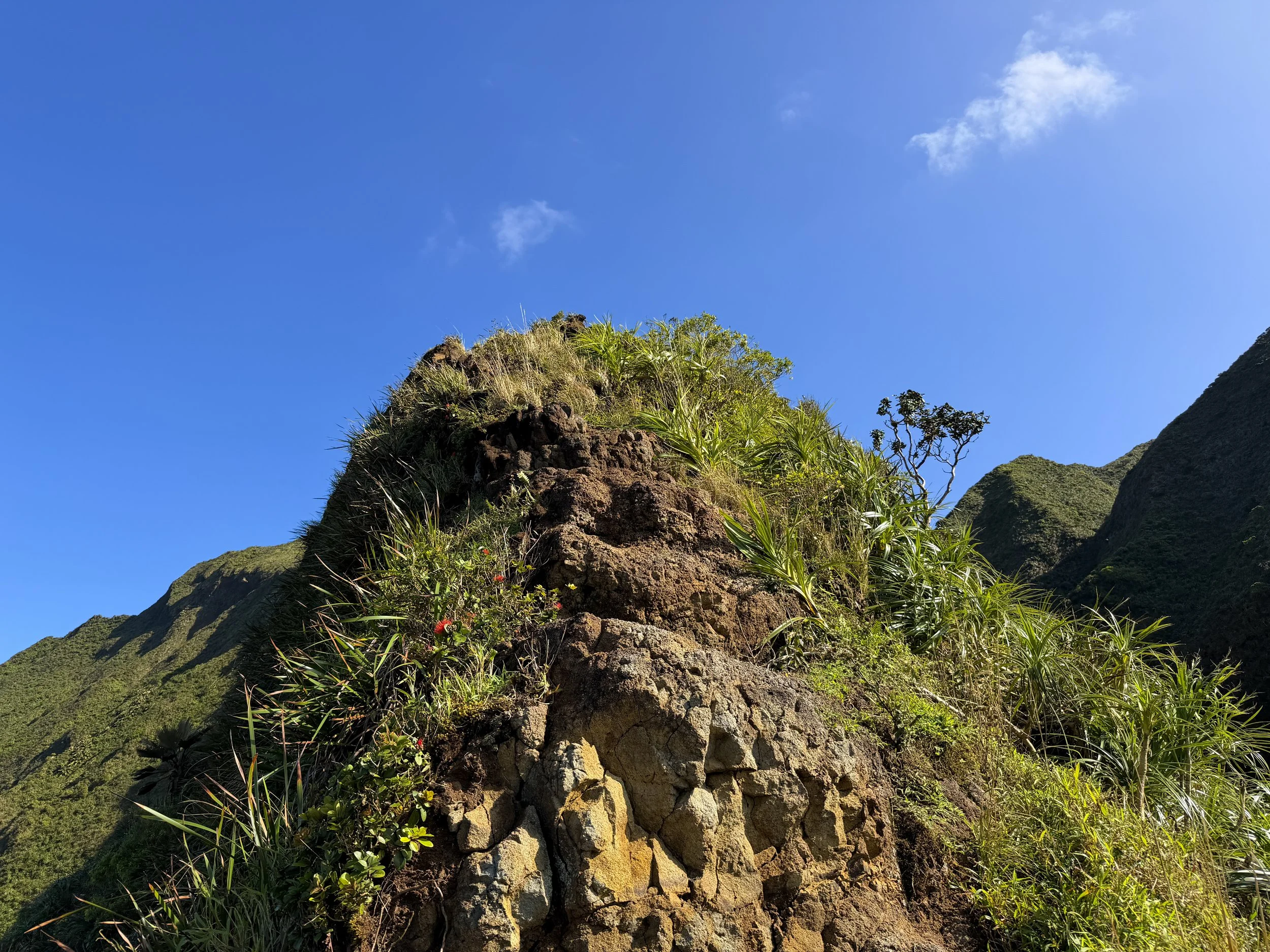 Moanalua Saddle KST Oahu Hawaii