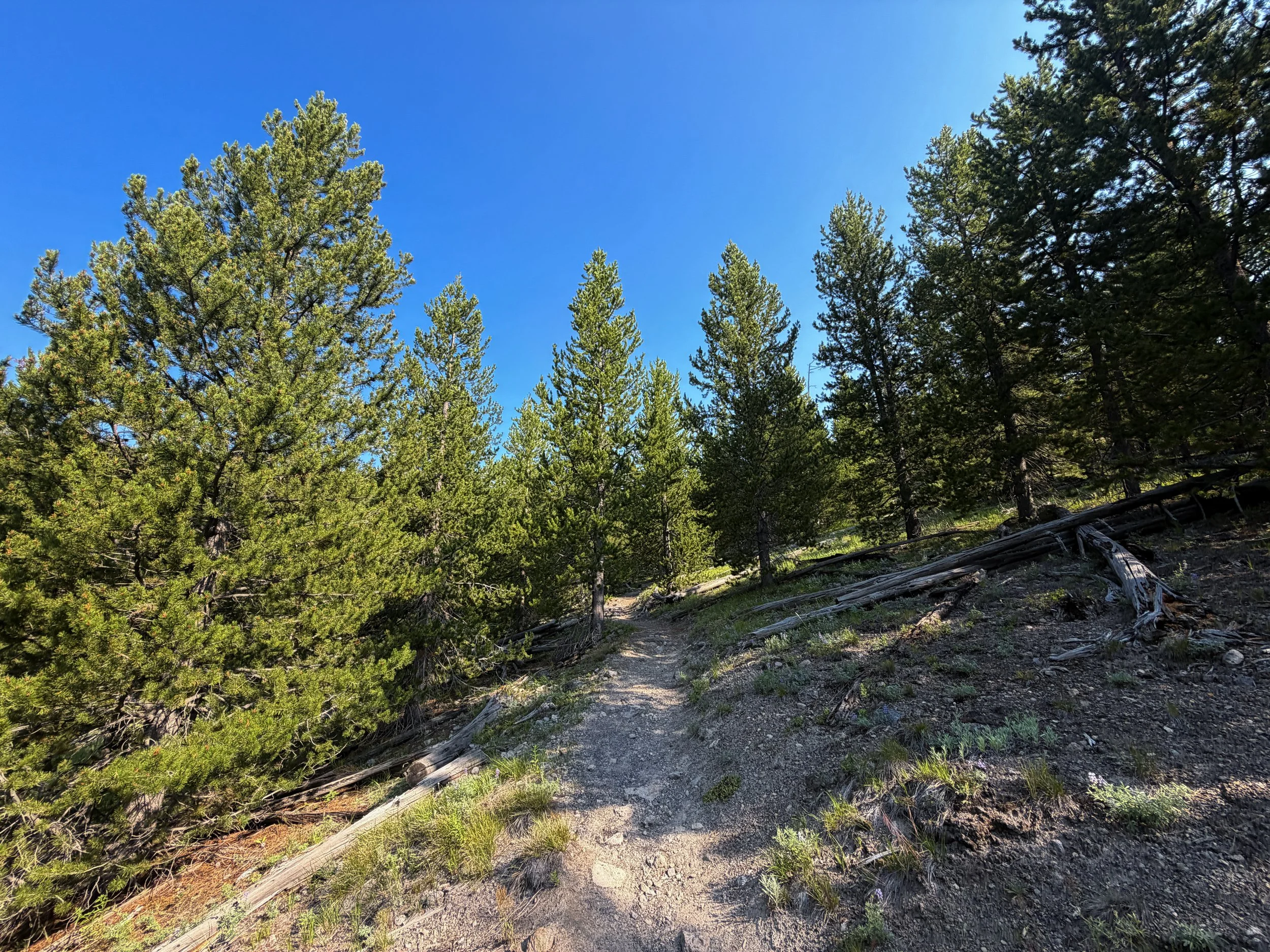 Mystic Falls Trail Yellowstone National Park Wyoming