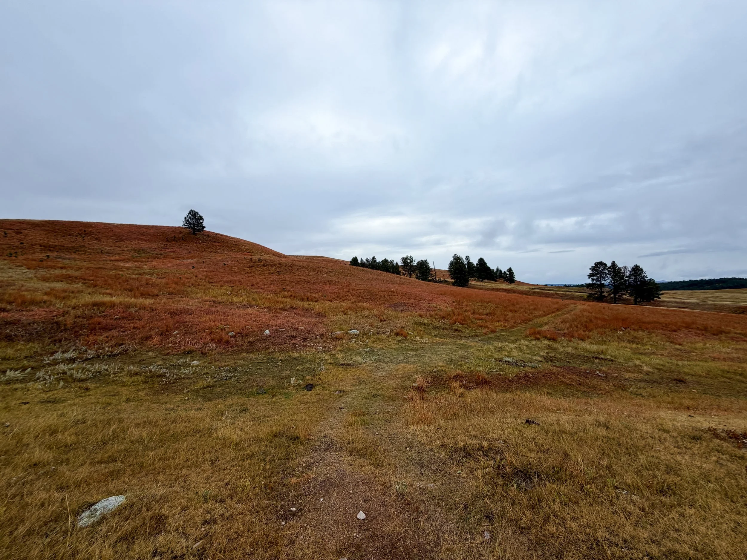 Highland Creek Trail Wind Cave National Park South Dakota