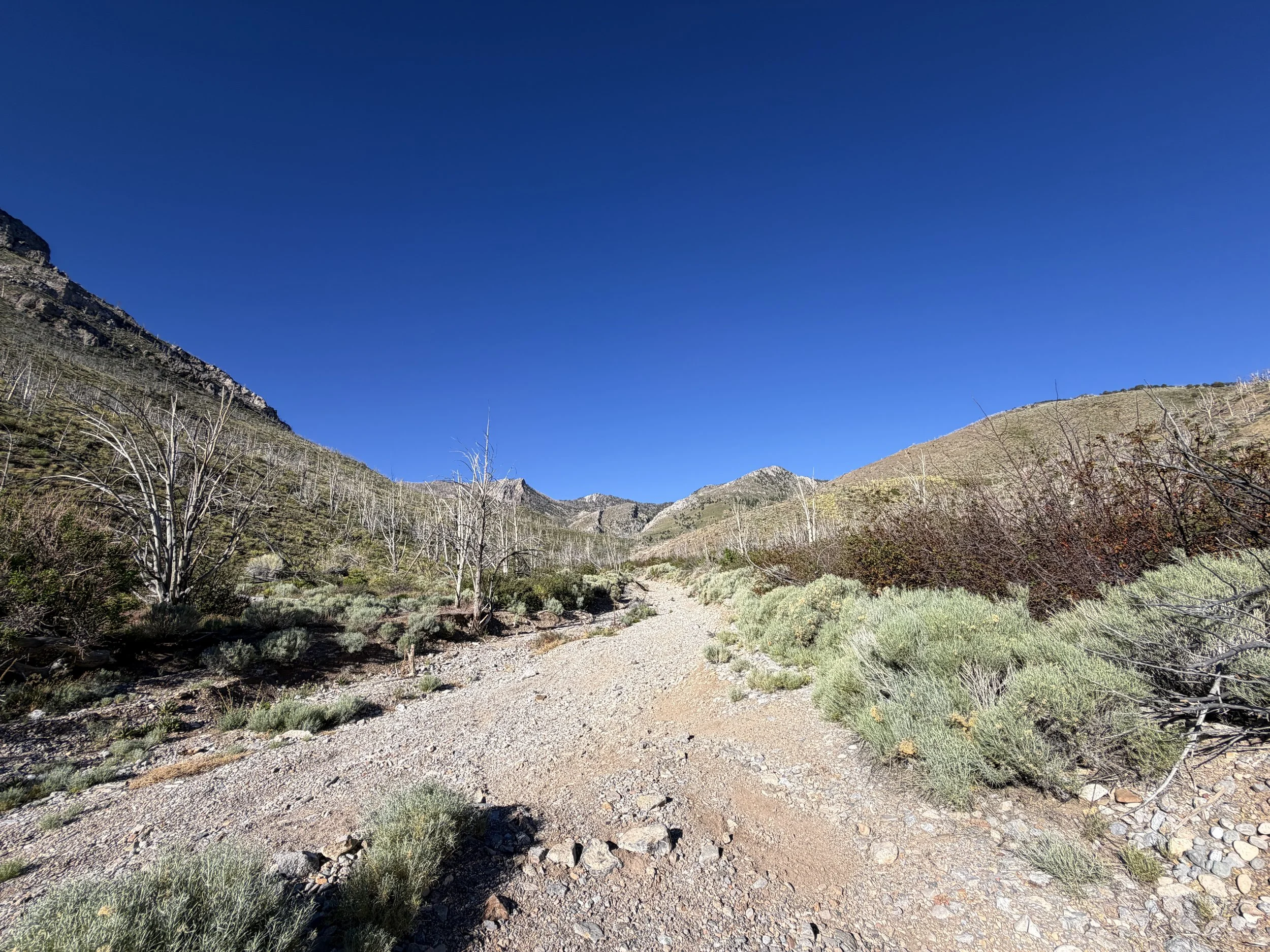 Lexington Arch Trail Great Basin National Park Nevada