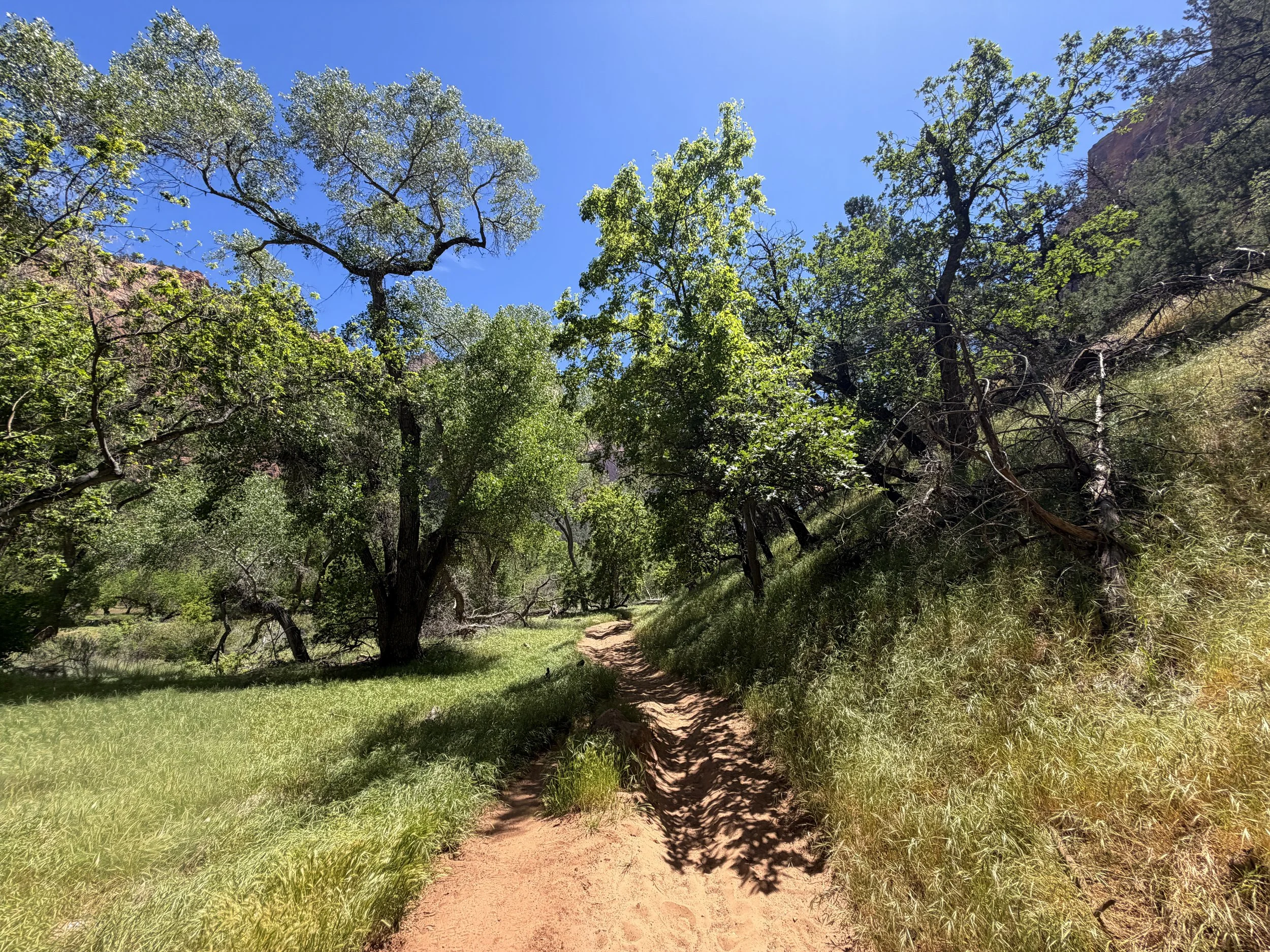 Sand Bench Trail via Zion Lodge Zion National Park Utah