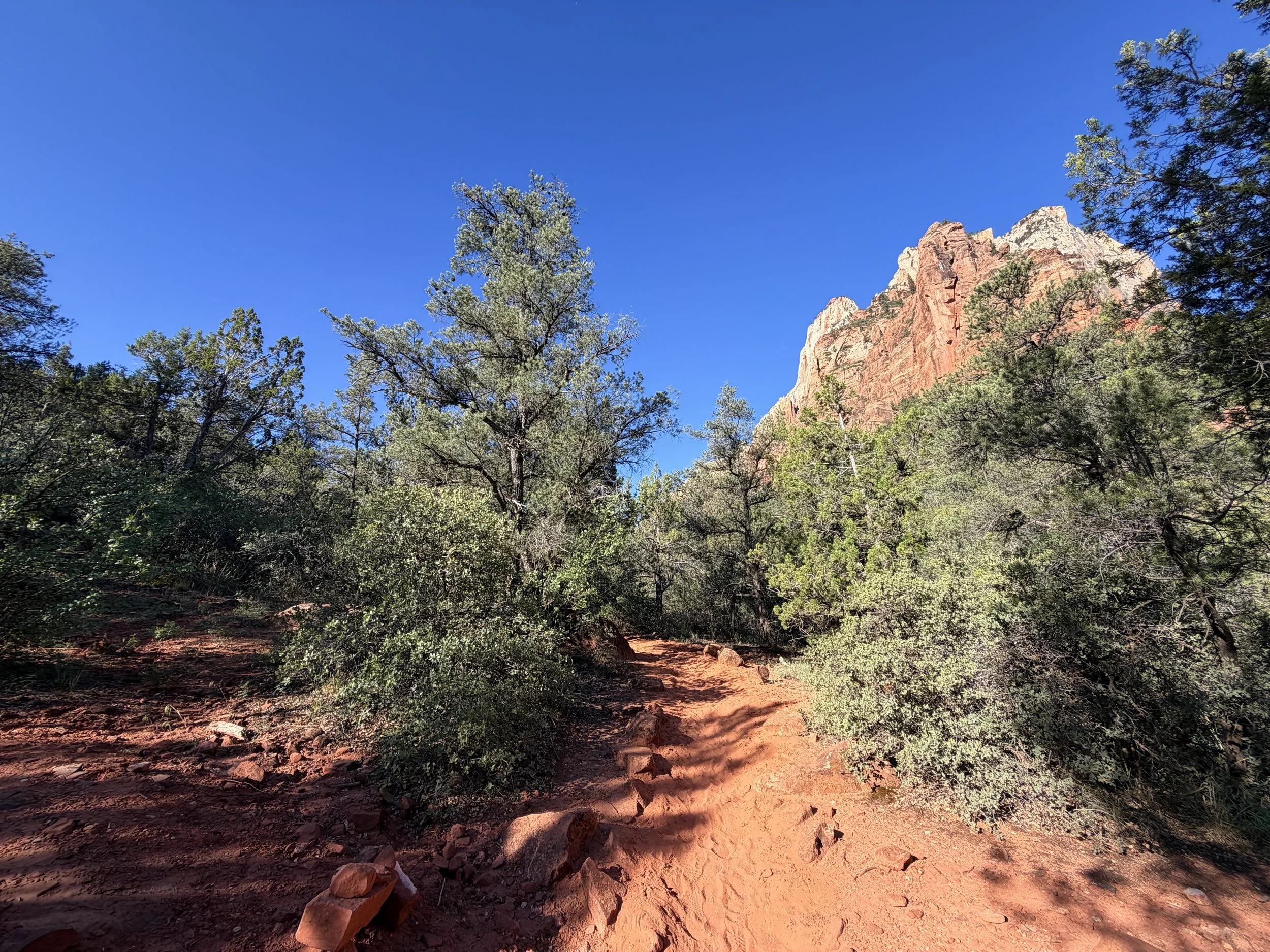 Sand Bench Loop Trail Zion National Park Utah