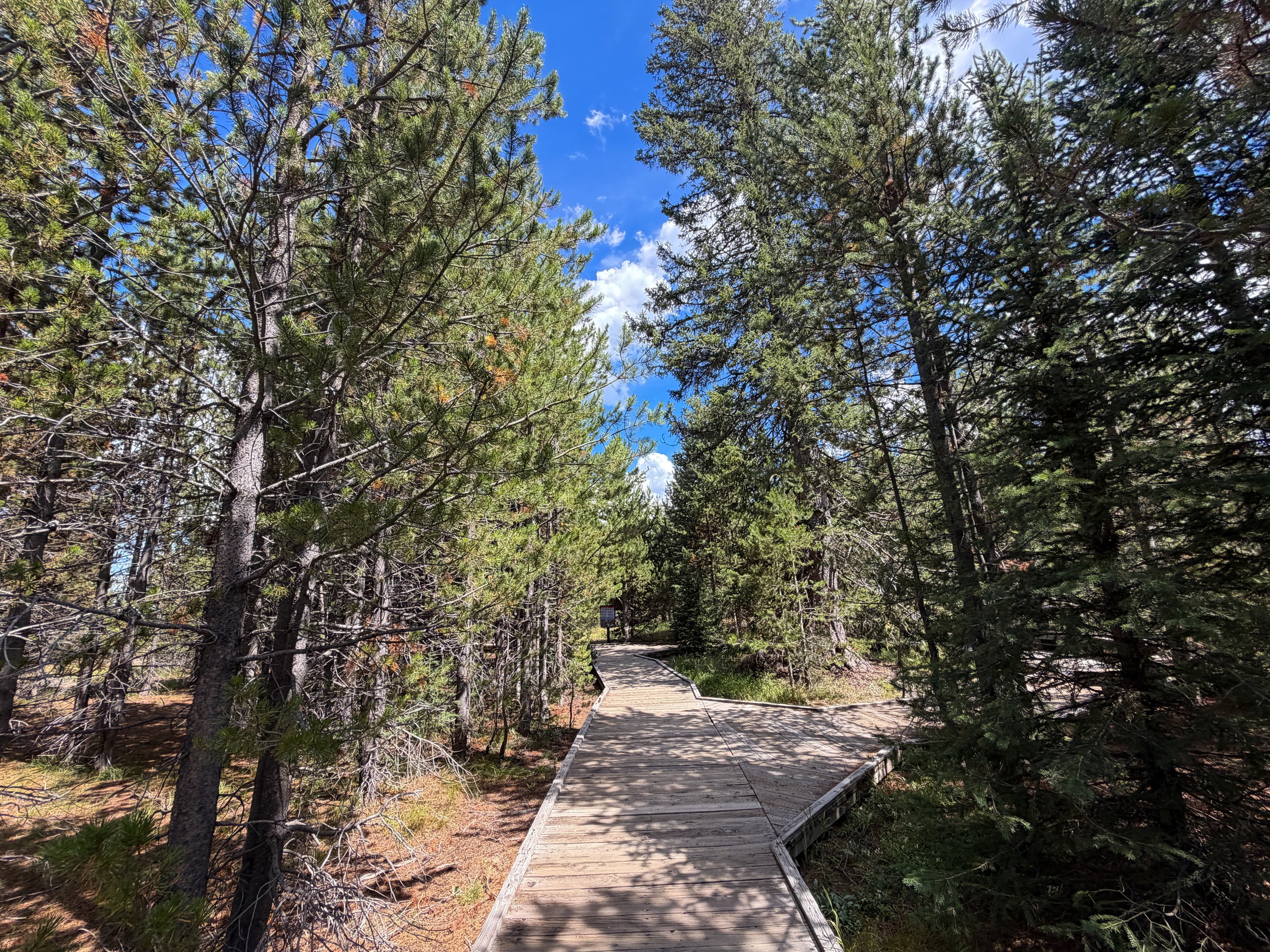West Thumb Geyser Basin Trail Yellowstone National Park Wyoming