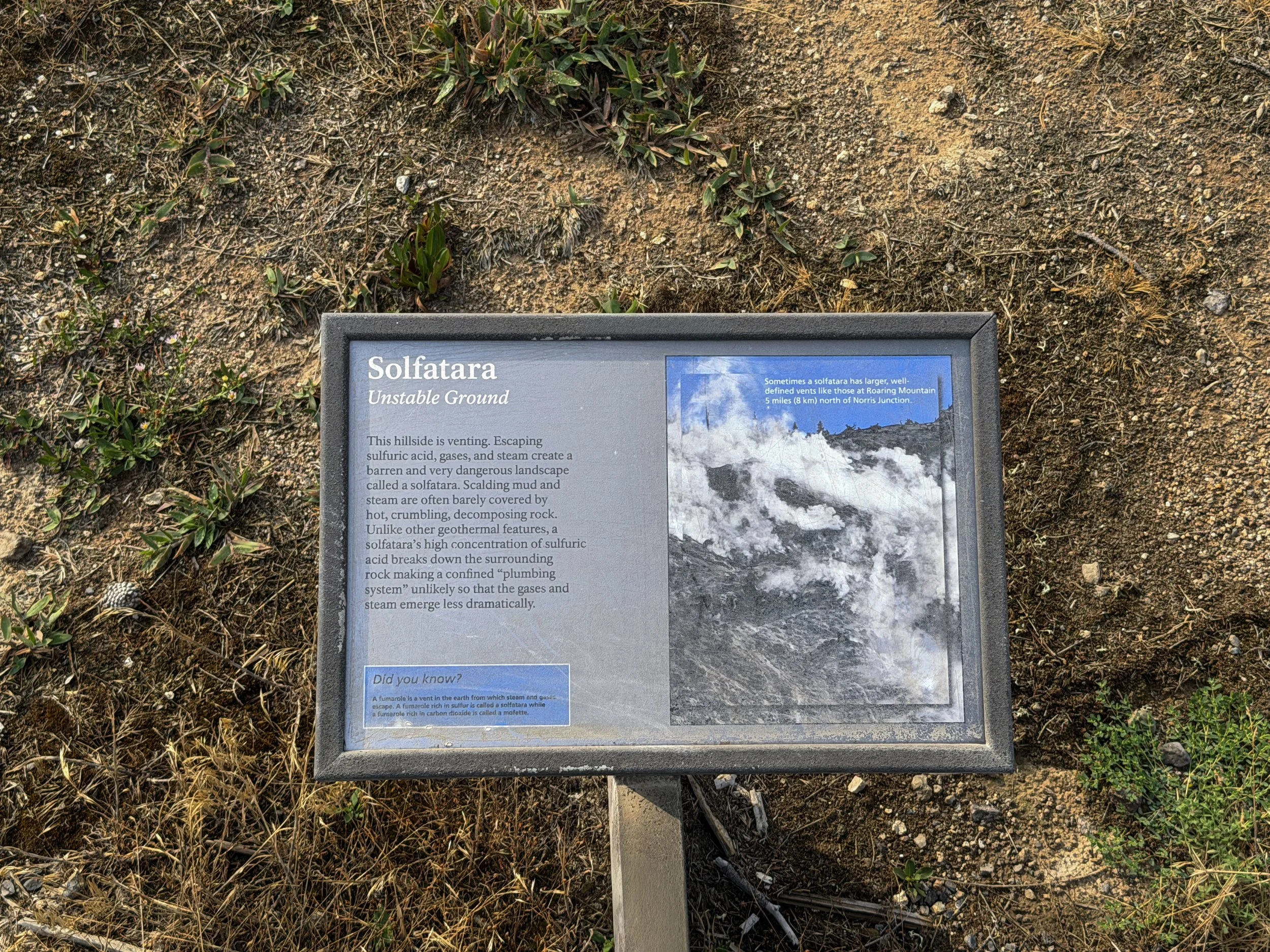 Norris Geyser Basin Trail Yellowstone National Park Wyoming