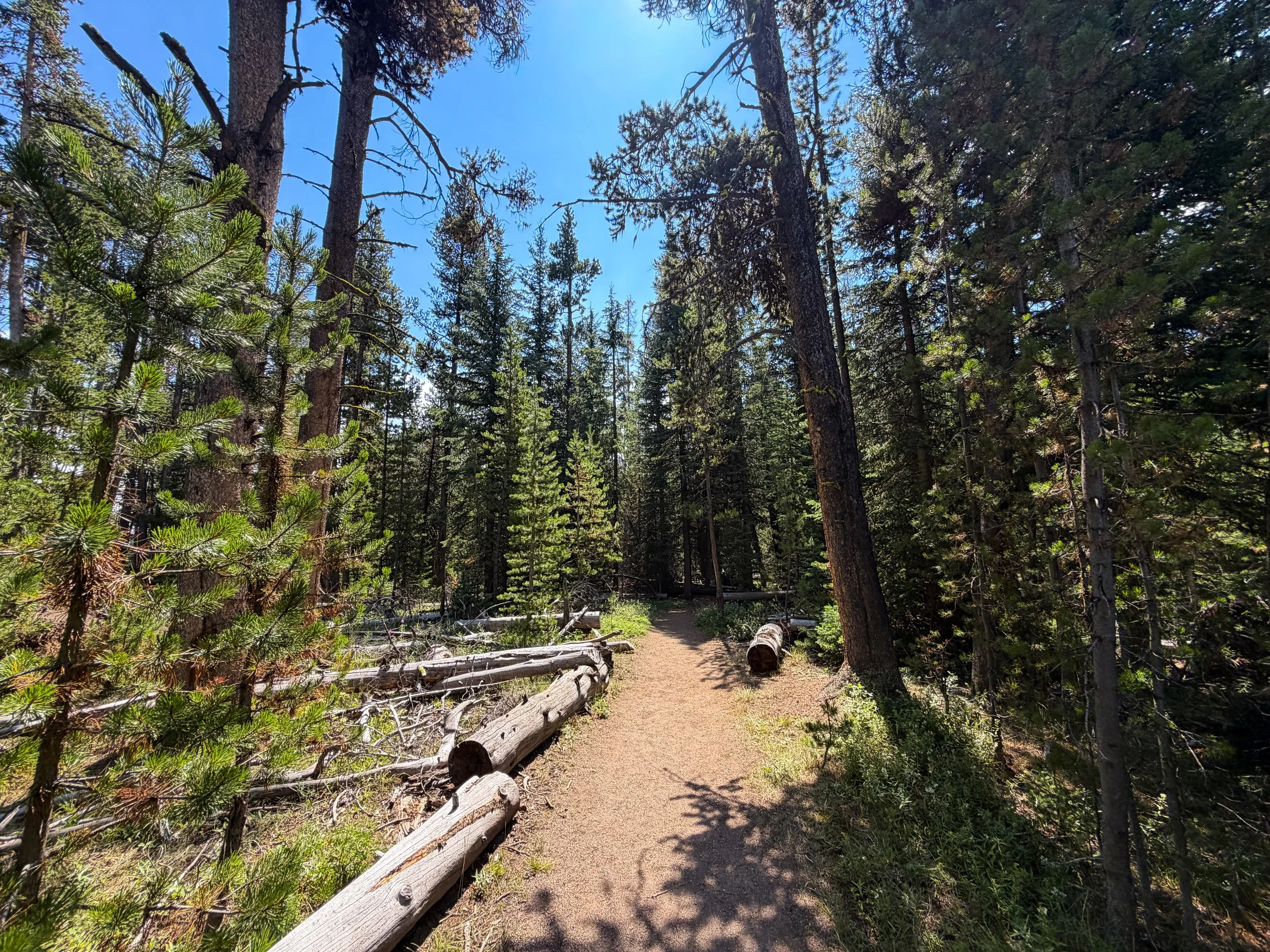 Storm Point Loop Trail Yellowstone National Park Wyoming