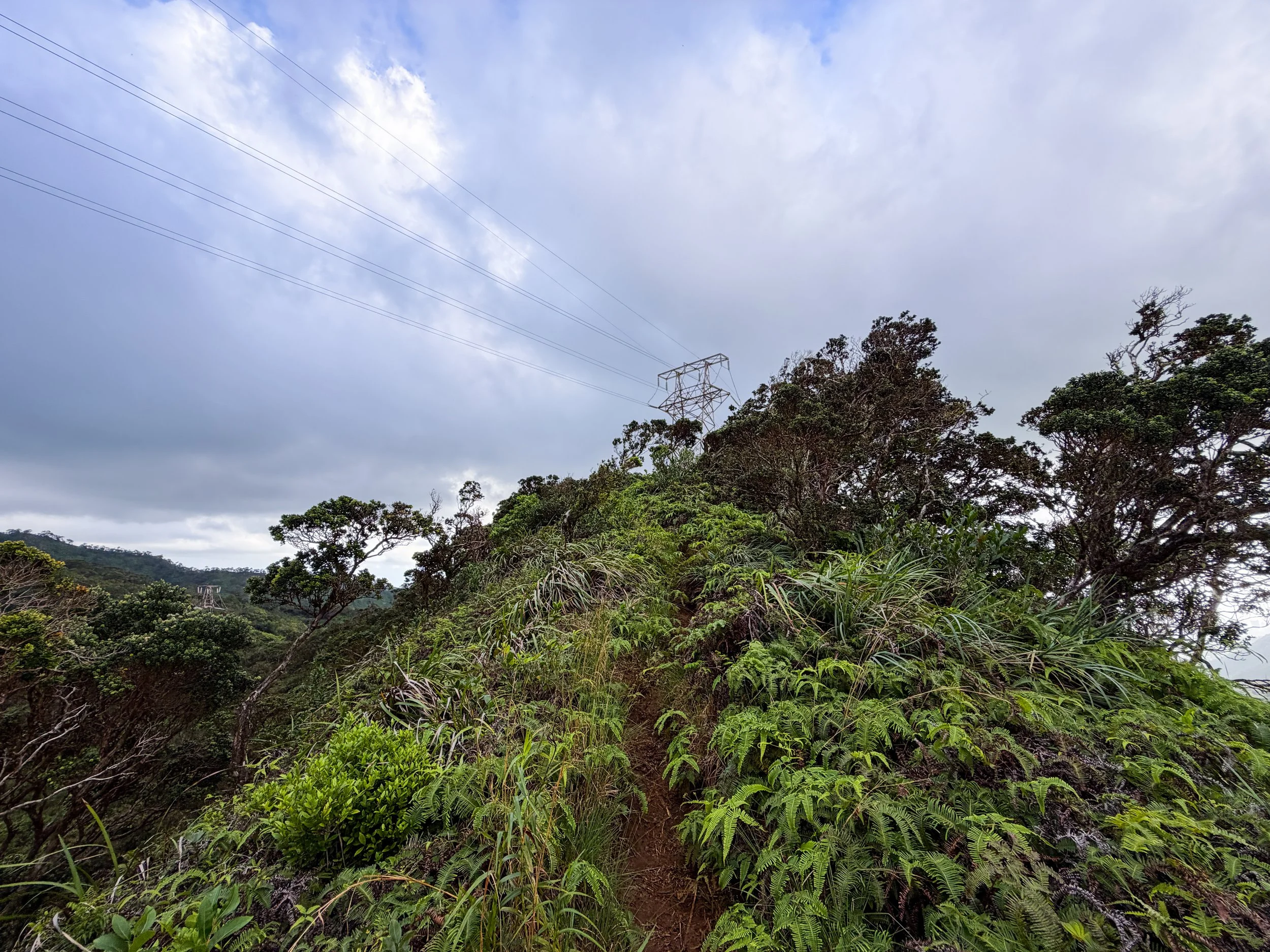 Kaau Crater Loop Hike Oahu Hawaii