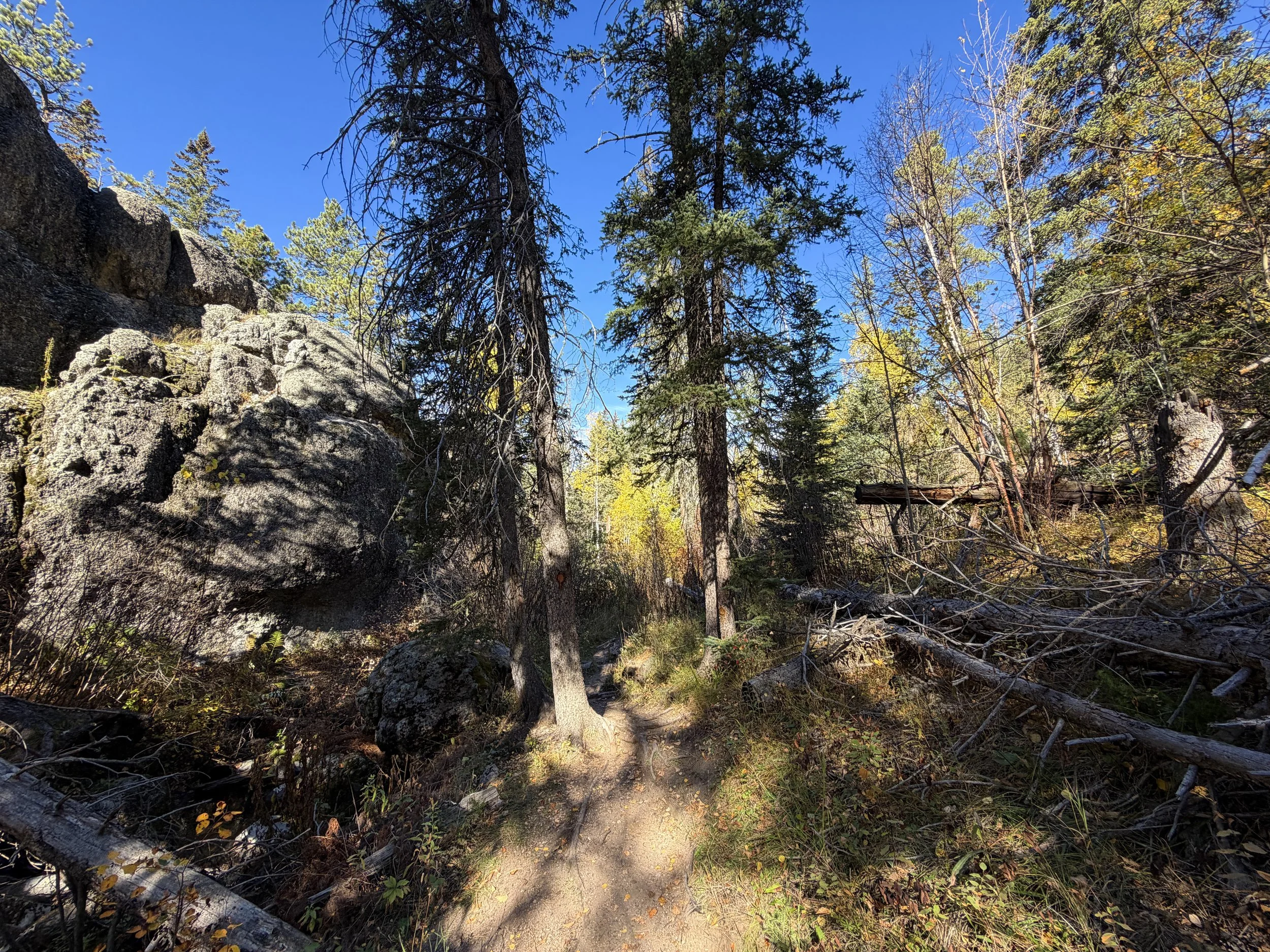 Sunday Gulch Loop Hike Custer State Park Black Hills South Dakota