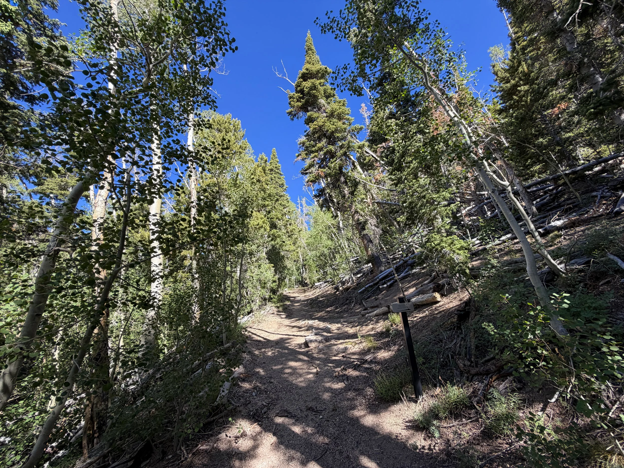 Johnson Lake Hike Great Basin National Park Nevada