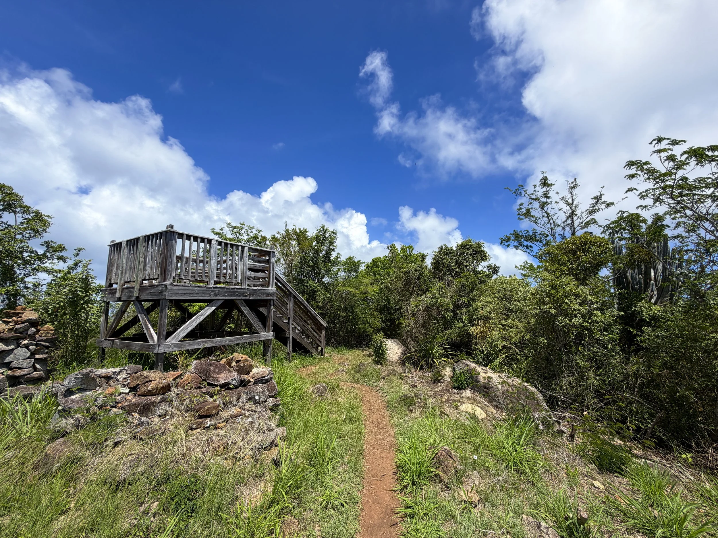 Caneel Hill Summit Virgin Islands National Park