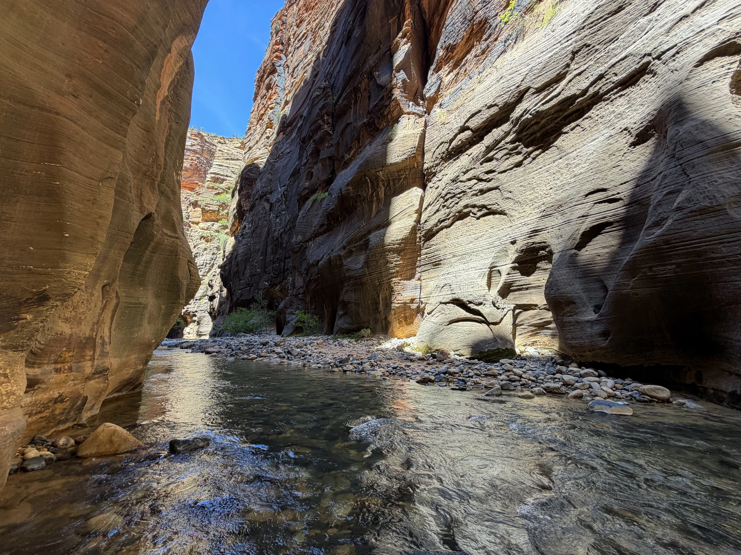 Wall Street Narrows Zion National Park Utah