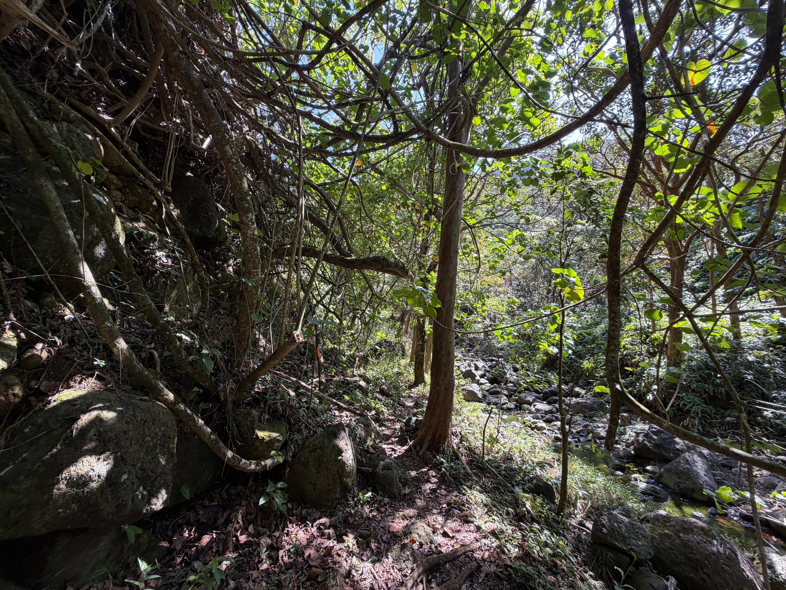 Kulanaahane Trail Oahu Hawaii