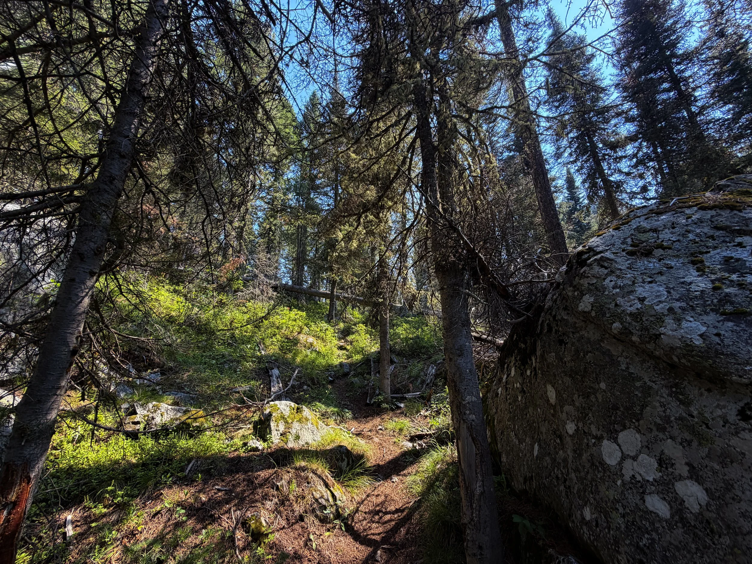 Boulder Field Trail Grand Teton National Park Wyoming