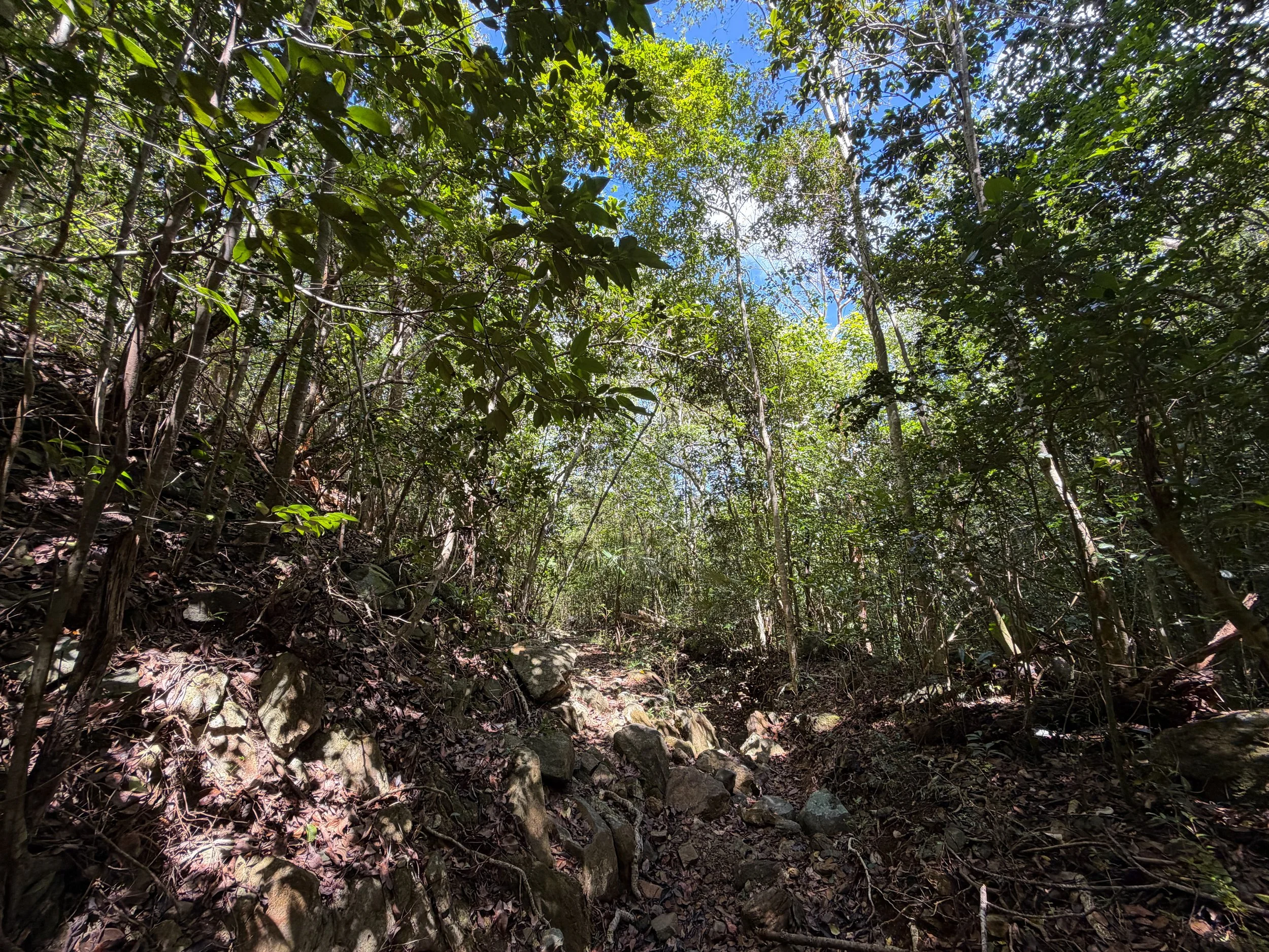 Water Catchment Hike Virgin Islands National Park