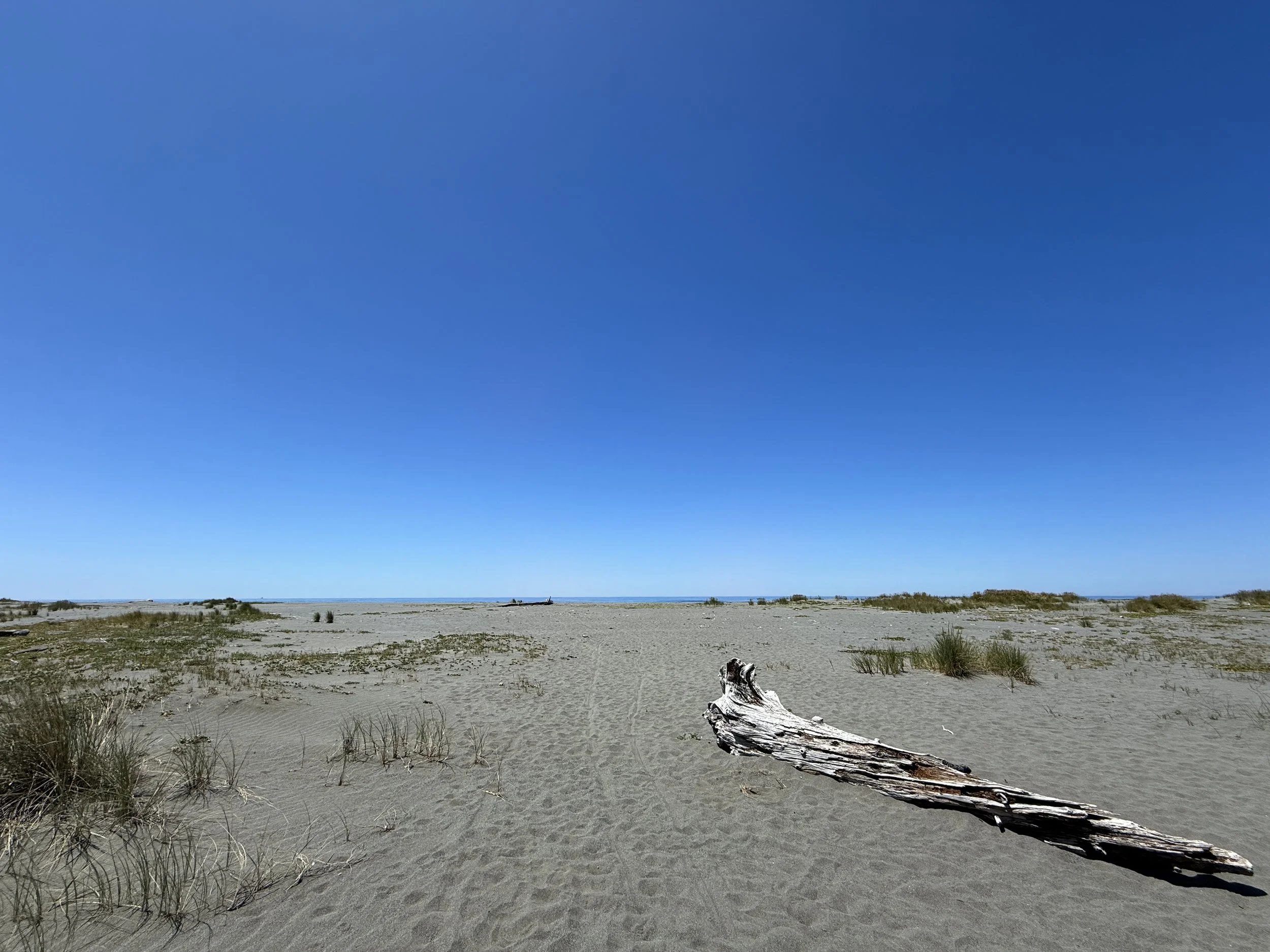 Gold Bluffs Beach Ossagon Trail Prairie Creek Redwoods State Park California