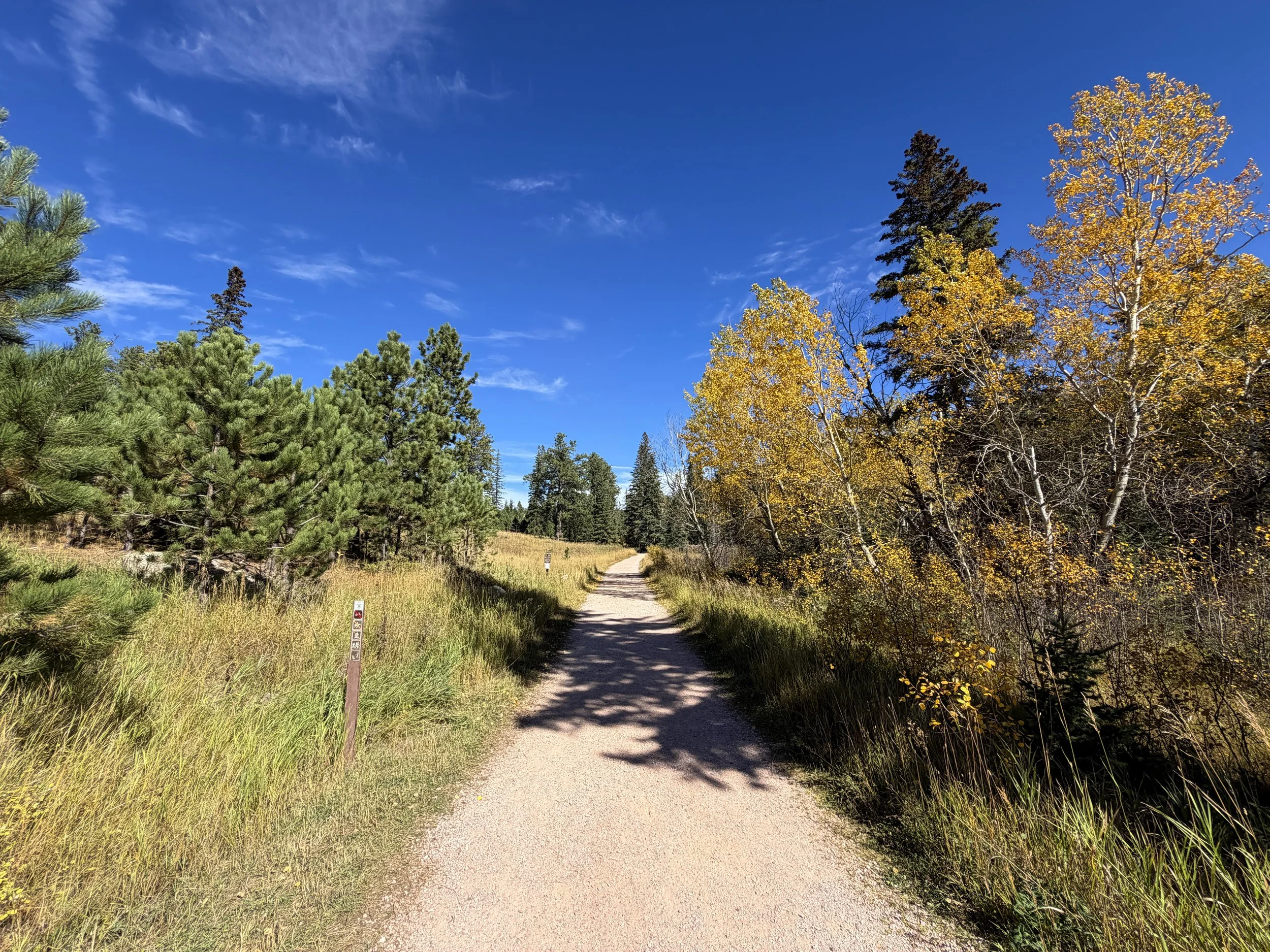 Black Elk Peak Trail Custer State Park Black Hills South Dakota
