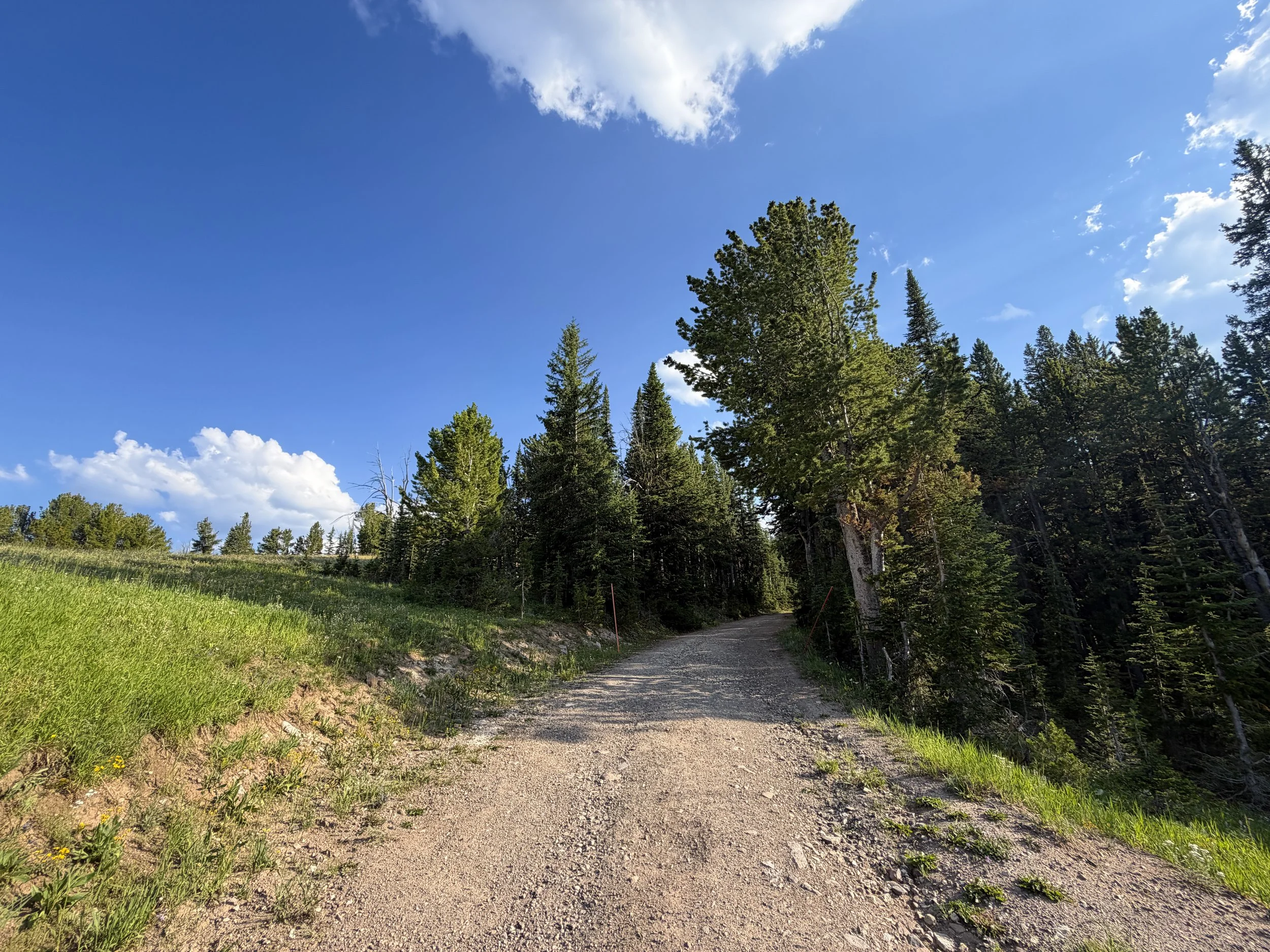 North Mount Washburn Trail Yellowstone National Park Wyoming
