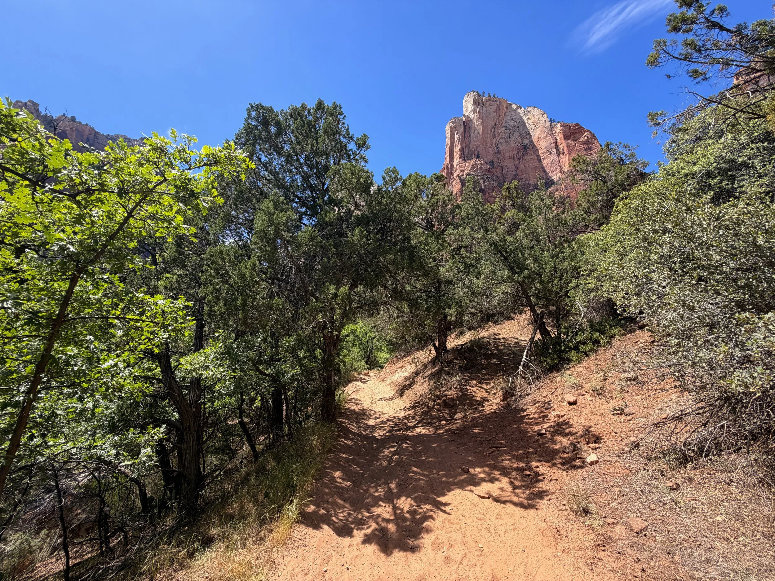 Sand Bench Trail Zion National Park Utah
