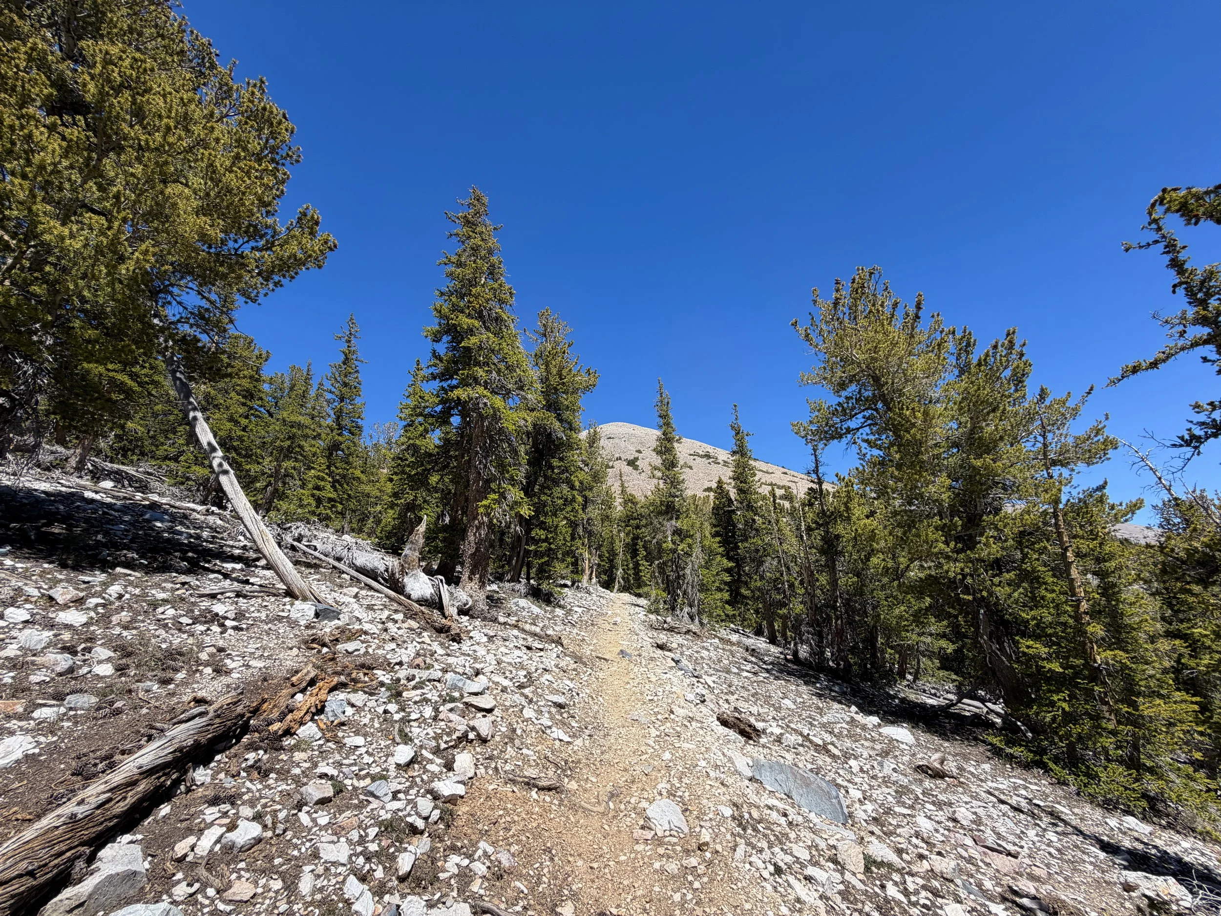 Baker Lake Trail Great Basin National Park Nevada