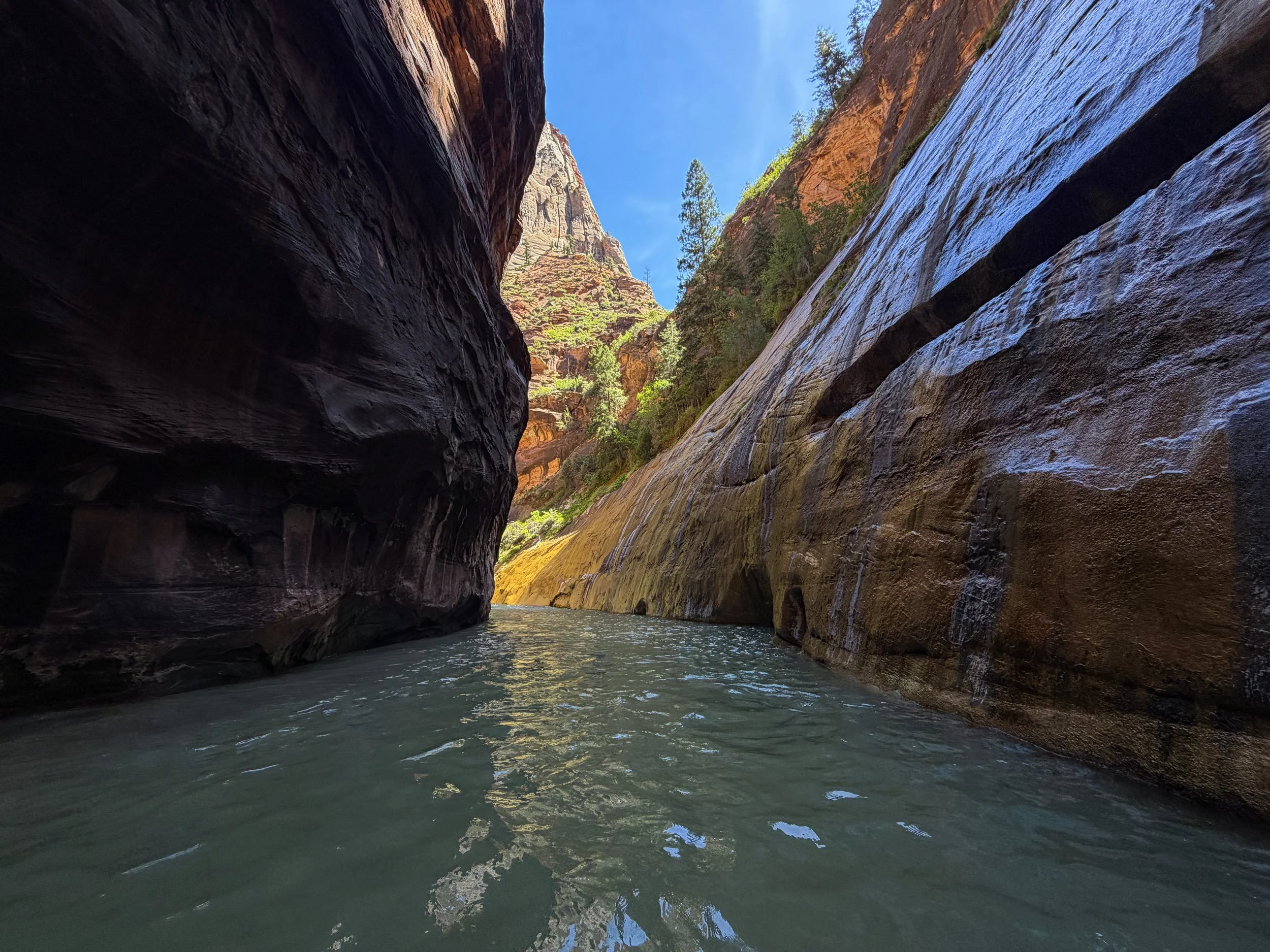 Wall to Wall Narrows Zion National Park Utah