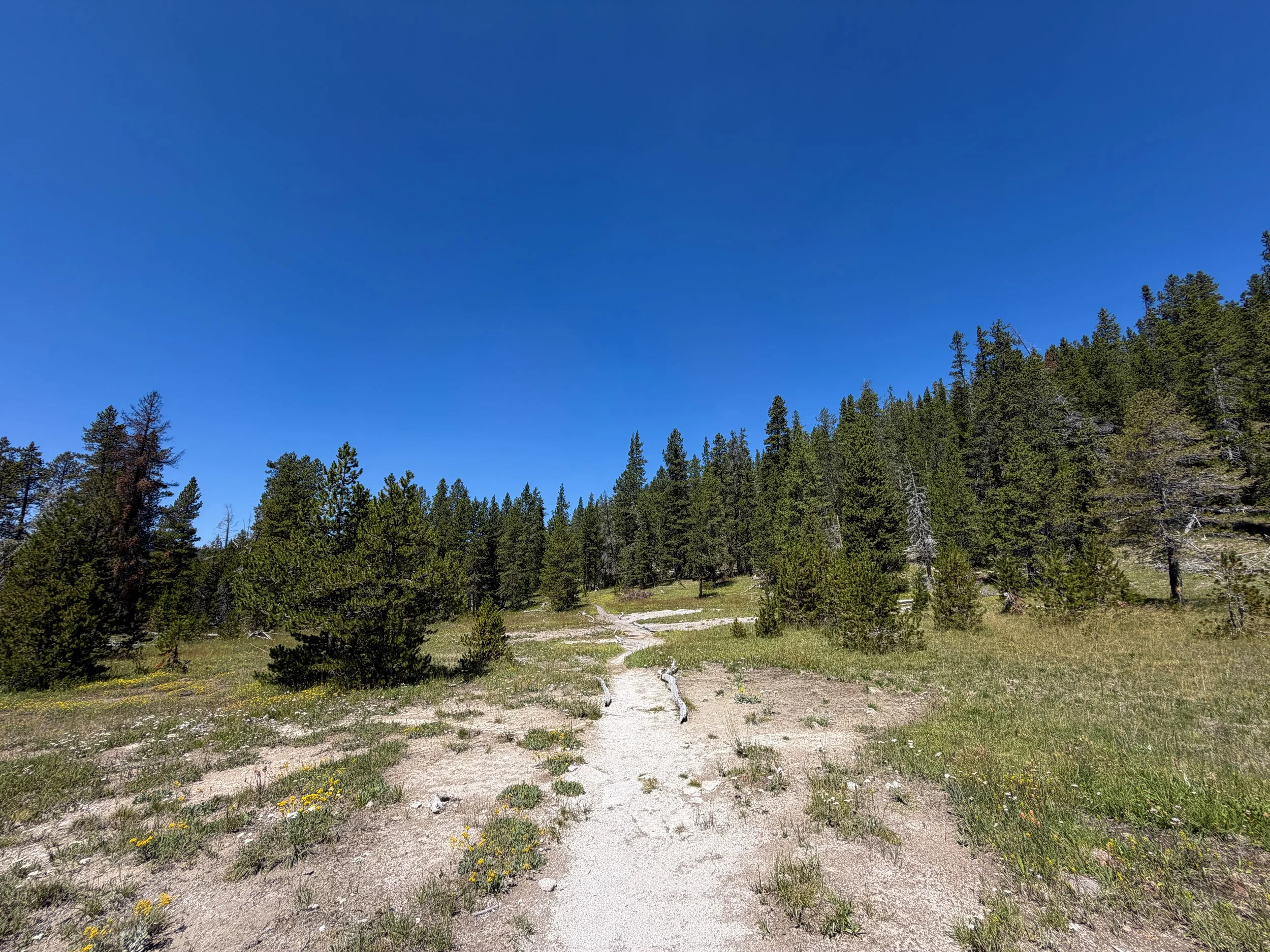 Lone Star Geyser Trail Yellowstone National Park Wyoming