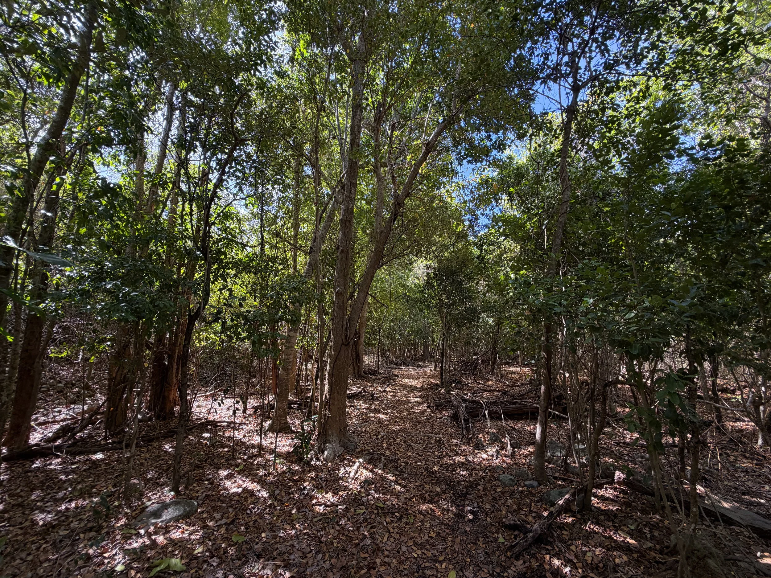Lameshur Bay Trail to Europa Bay Virgin Islands National Park