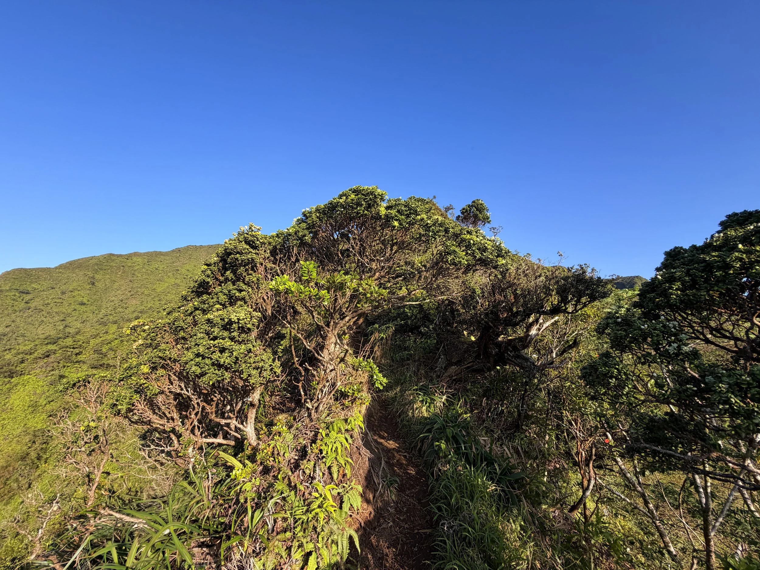 Moanalua Middle Ridge Trail to Haiku Stairs Oahu Hawaii