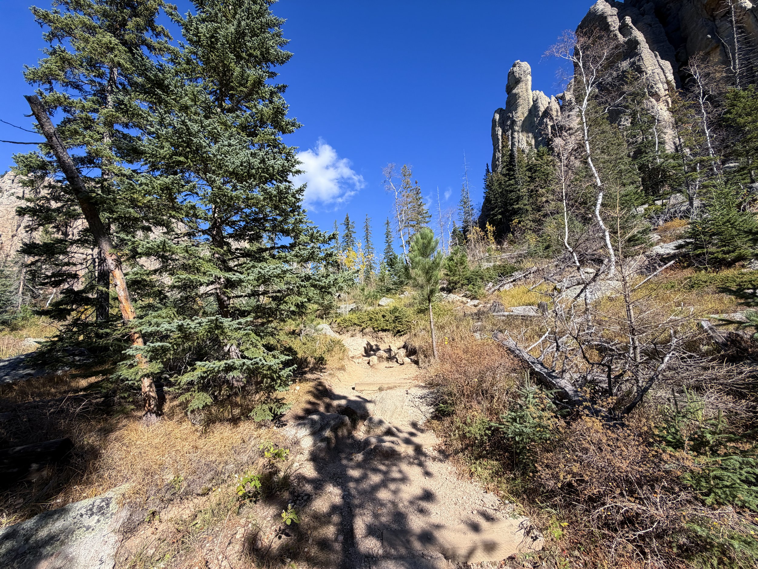 Cathedral Spires Trail Custer State Park Black Hills South Dakota
