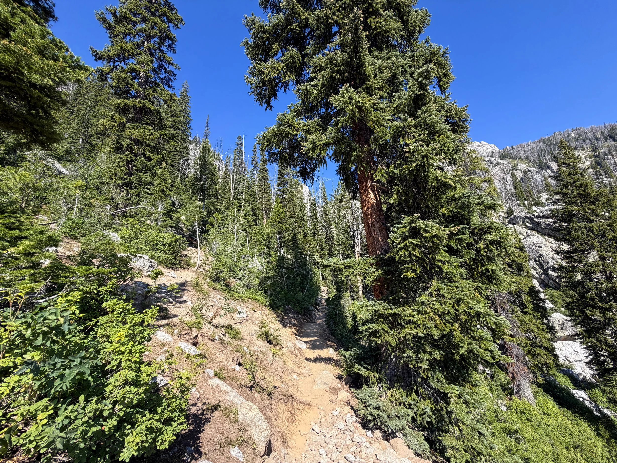 Delta Lake Trail Grand Teton National Park Wyoming