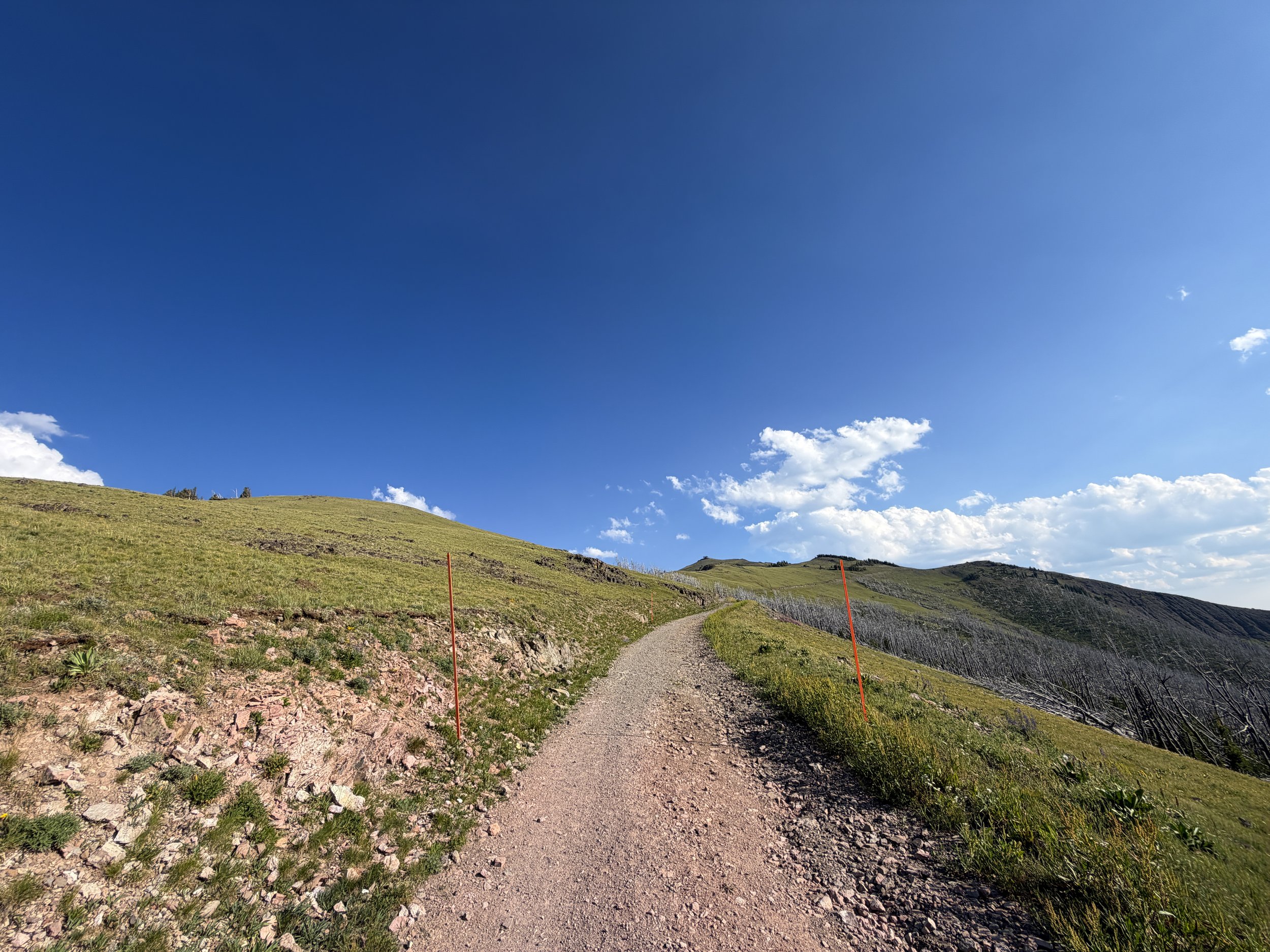 Mt. Washburn Trail via Chittenden Road Yellowstone National Park Wyoming