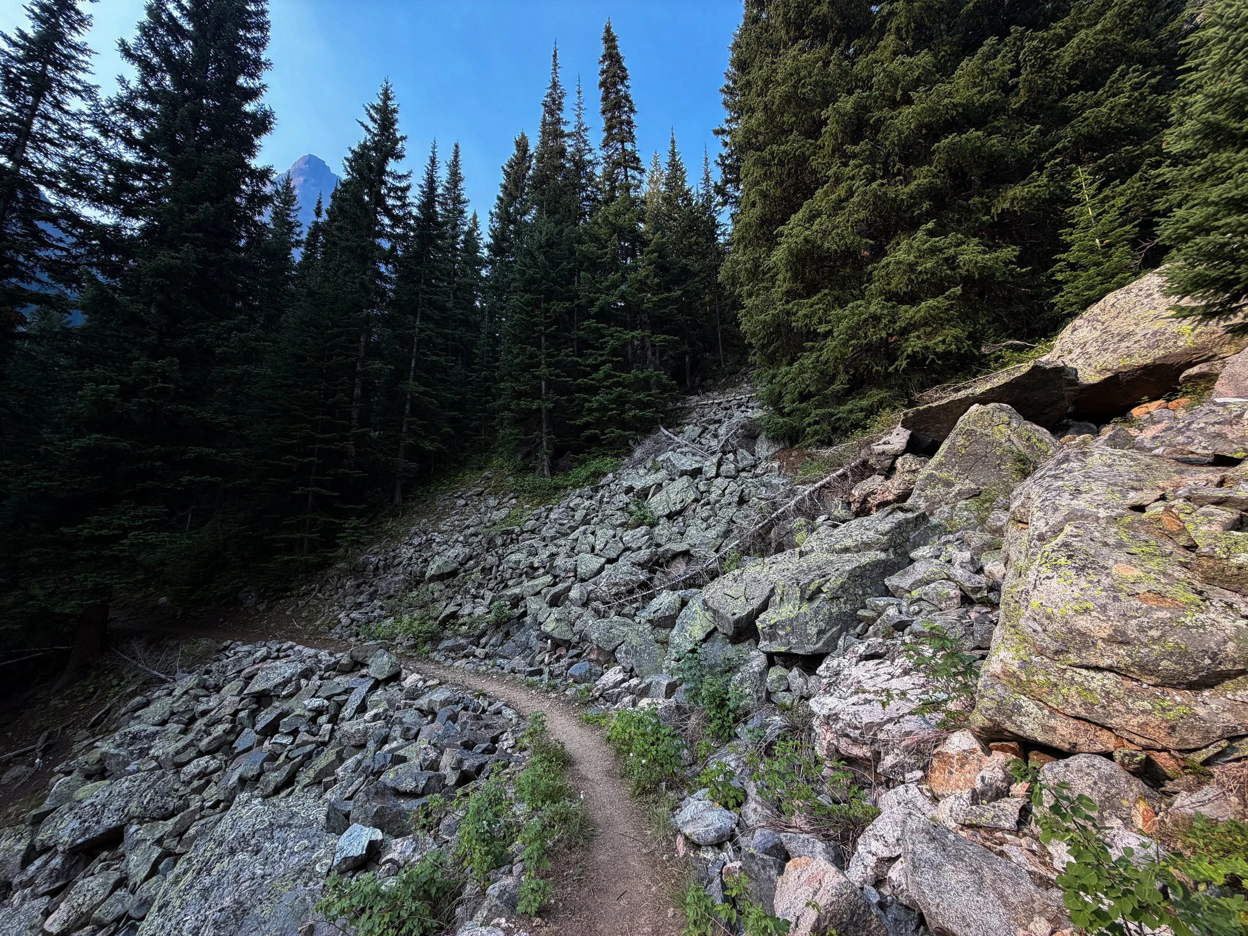 Beaten Path Trail Beartooth Mountains Montana