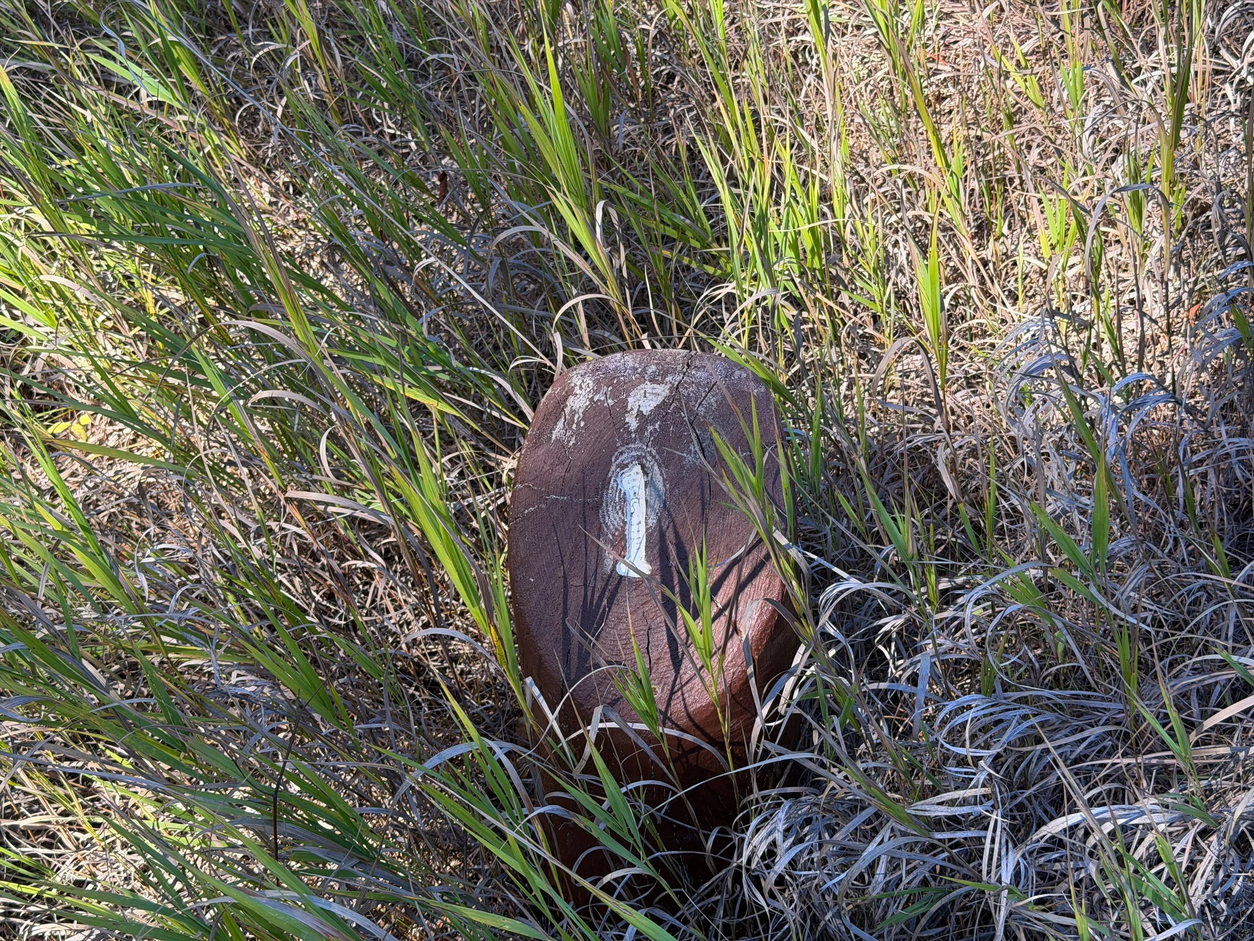 Elk Mountain Nature Trail Wind Cave National Park South Dakota