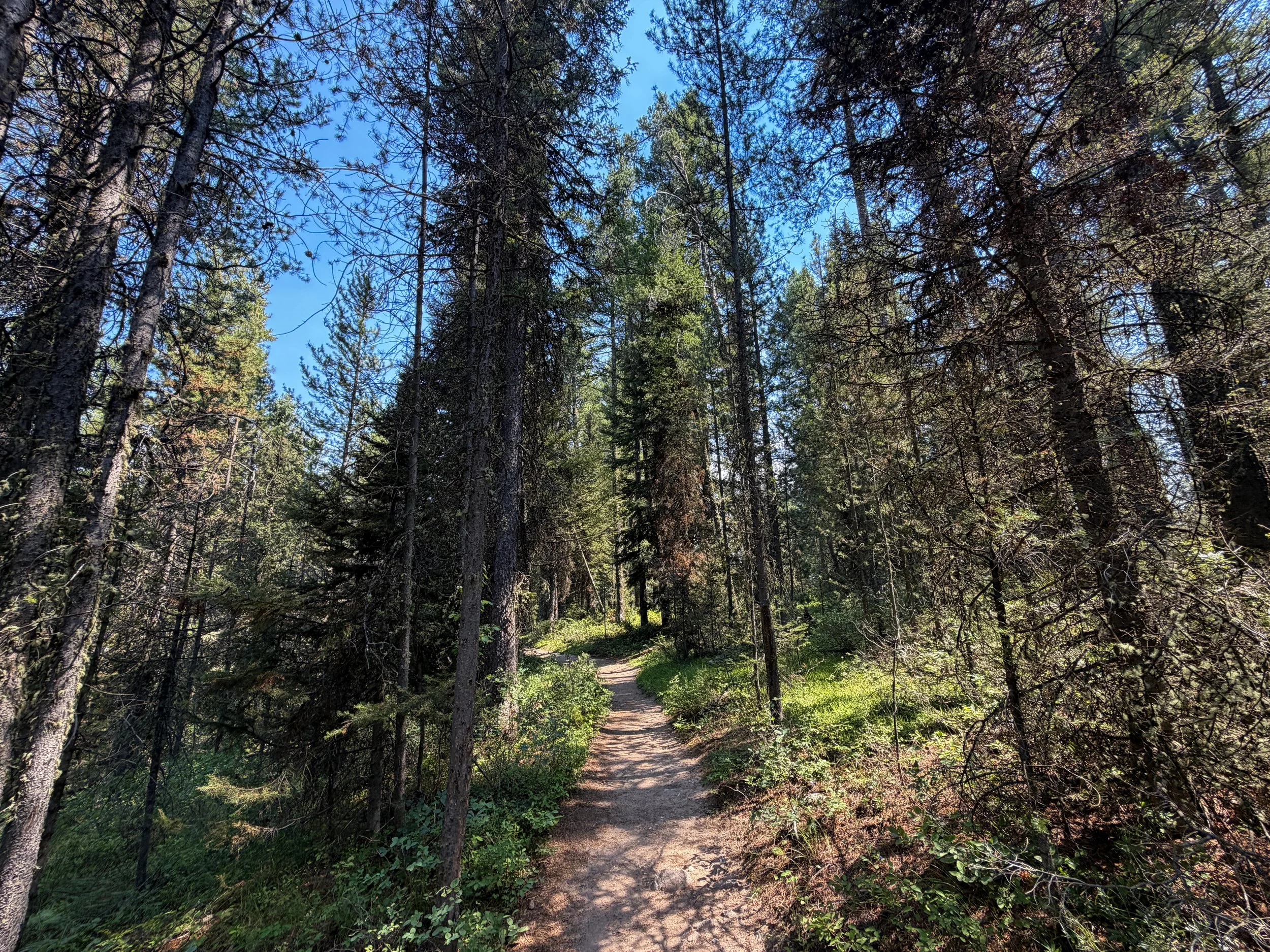 Phelps Lake Loop Trail Grand Teton National Park Wyoming