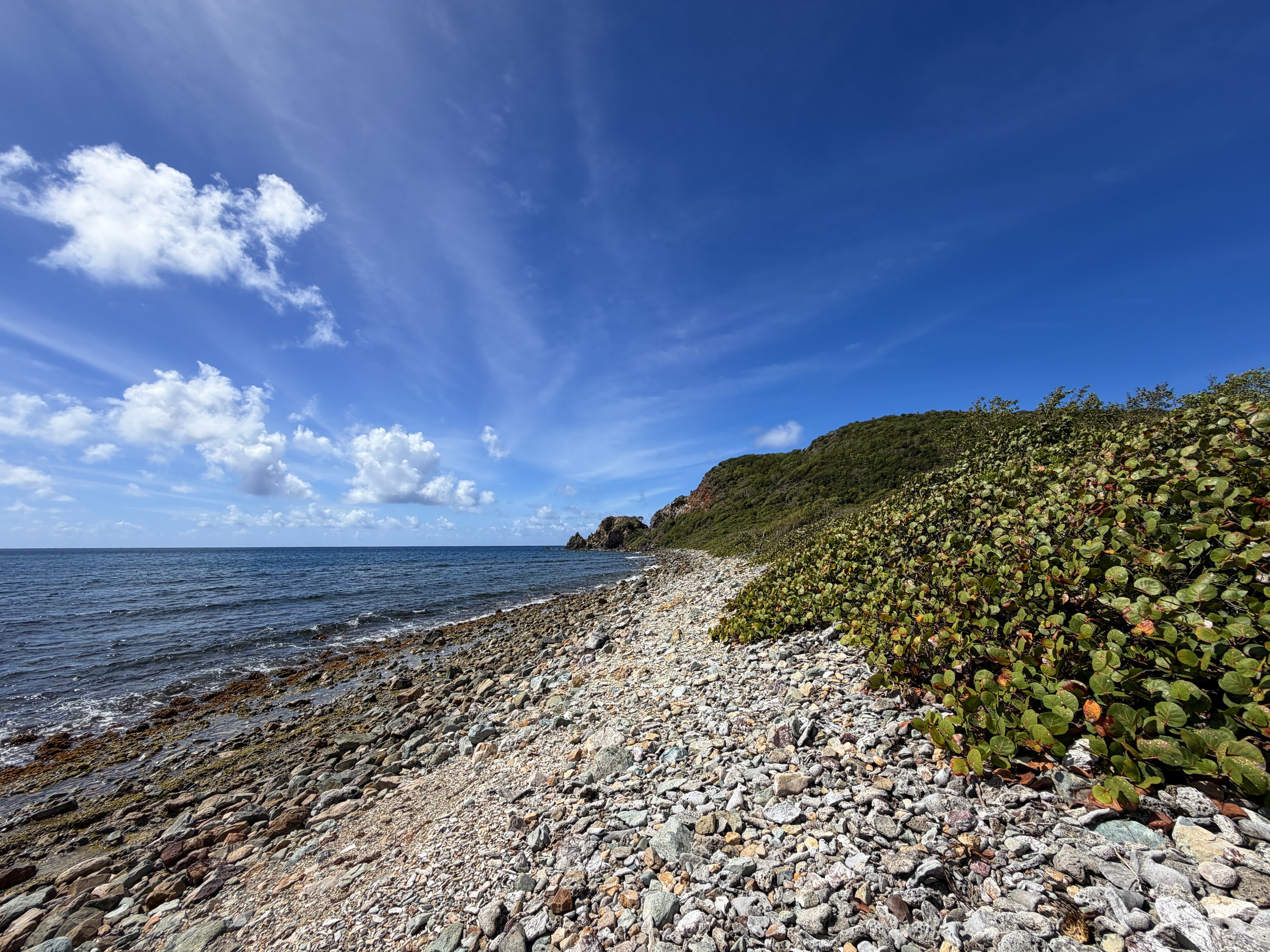 Europa Bay Lameshur Bay Trail Virgin Islands National Park