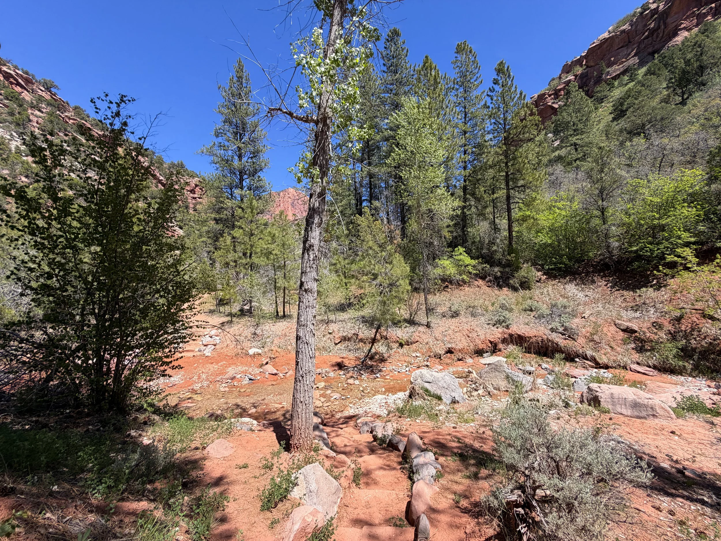 Middle Taylor Creek Trail Zion National Park Utah