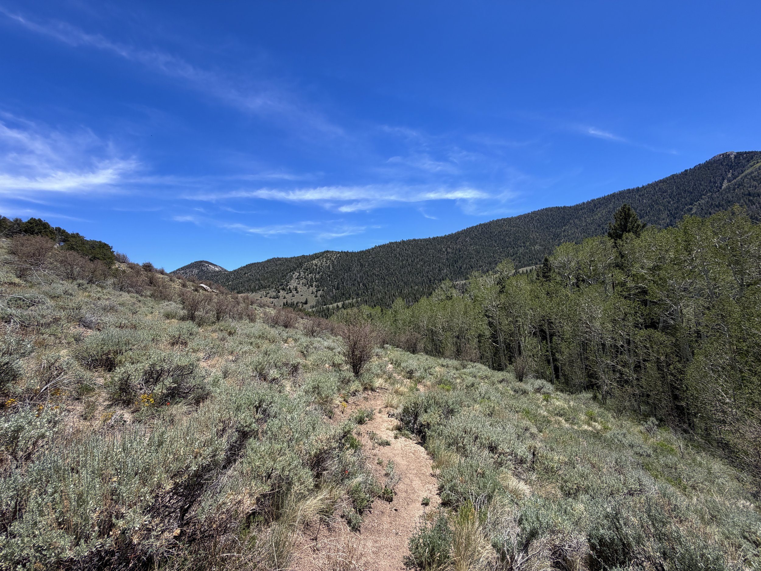 Serviceberry Loop Trail Great Basin National Park Nevada