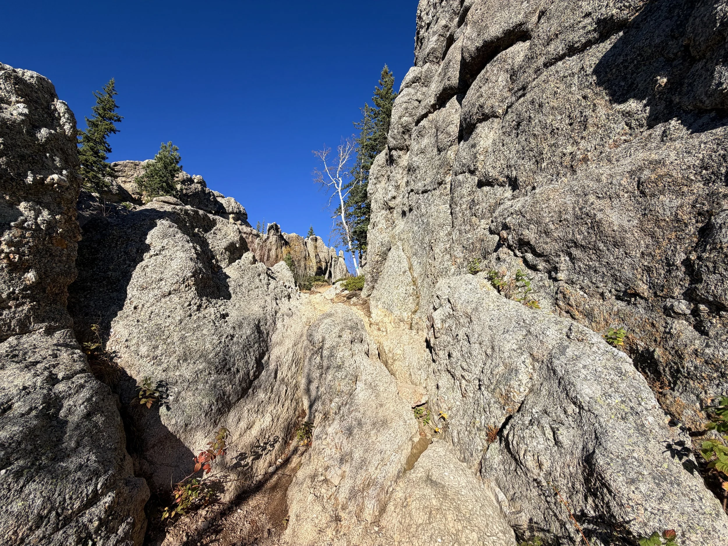 Little Devils Tower Trail Custer State Park Black Hills South Dakota