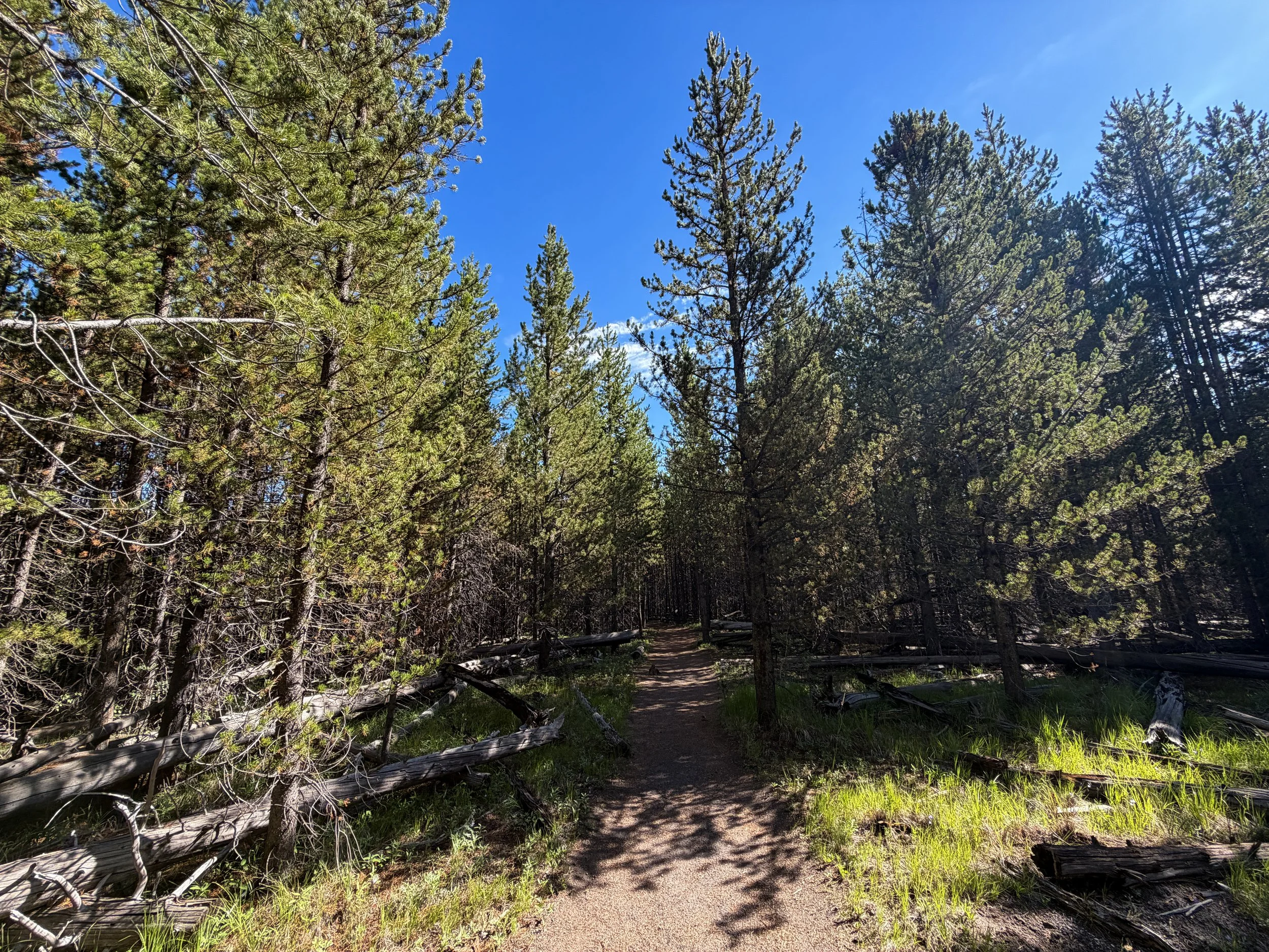 Fairy Falls Trail to Imperial Geyser Yellowstone National Park Wyoming
