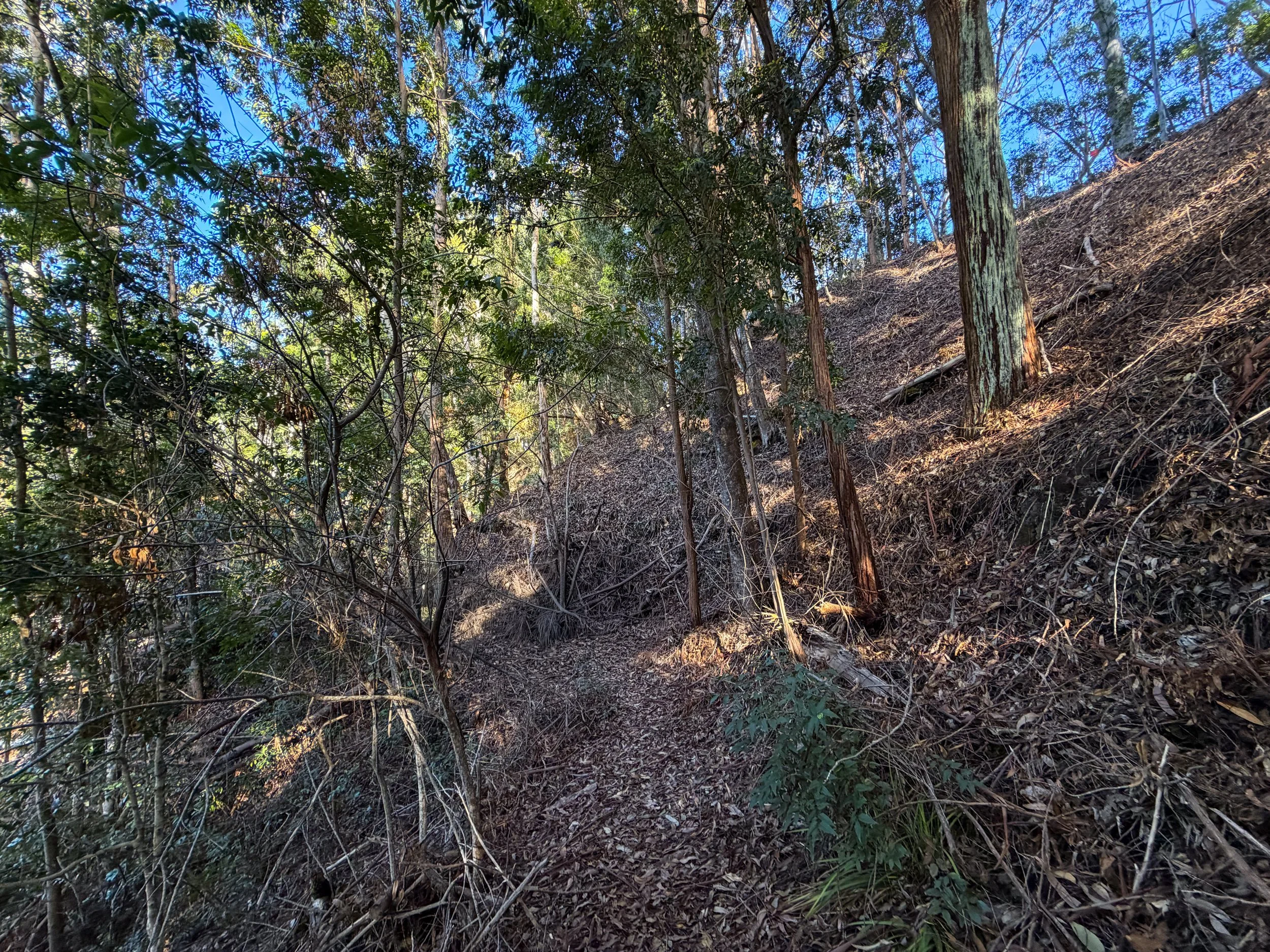 Mokuleia Trail Oahu Hawaii