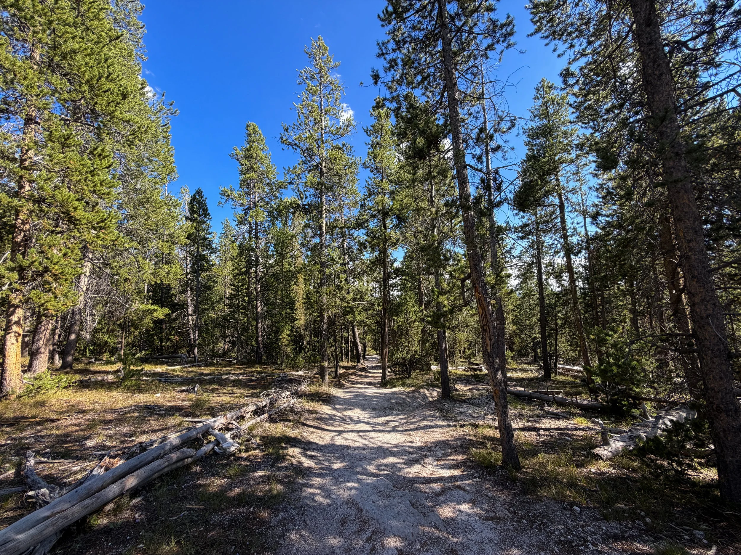 Observation Point Trail Yellowstone National Park Wyoming