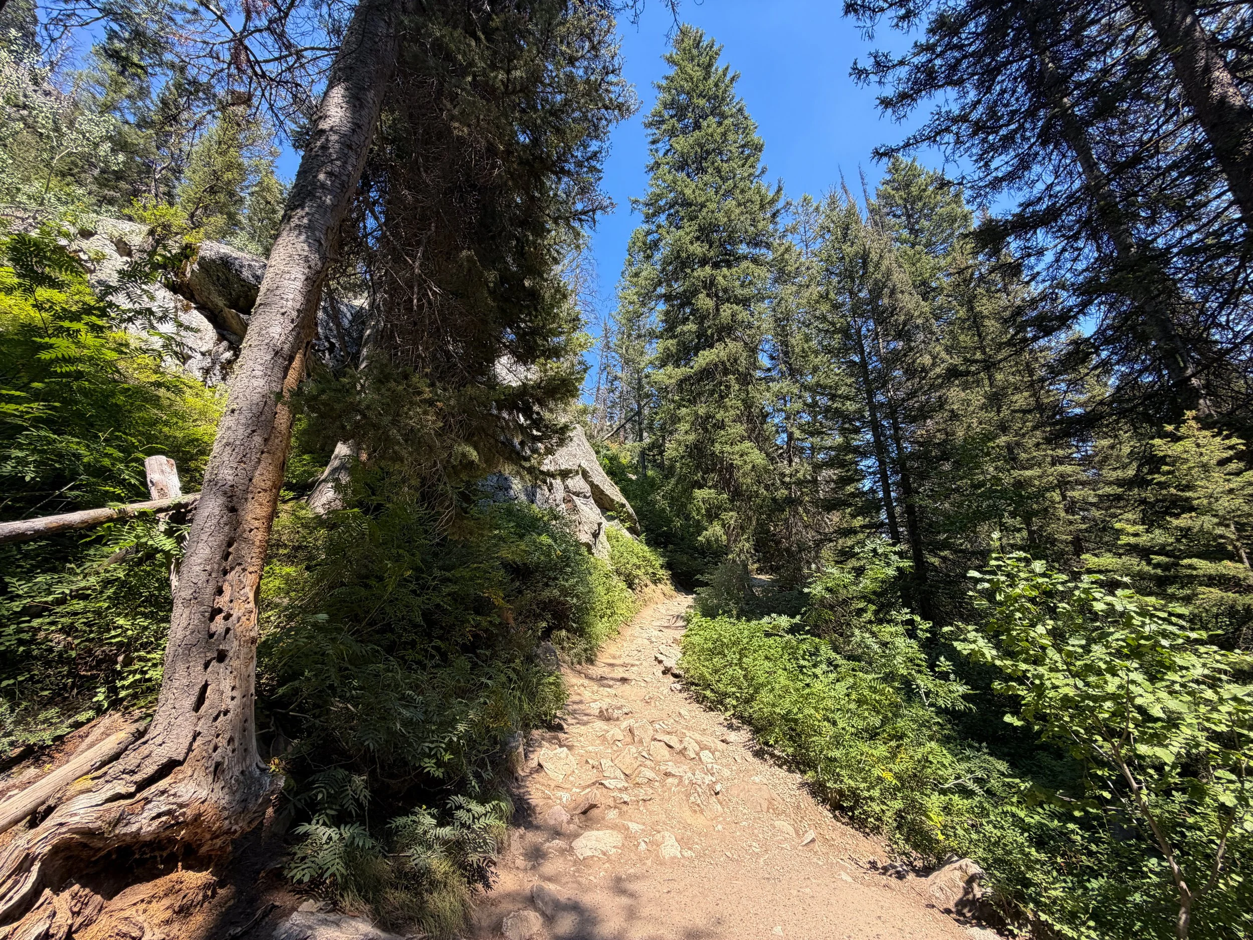 Inspiration Point Trail Grand Teton National Park Wyoming