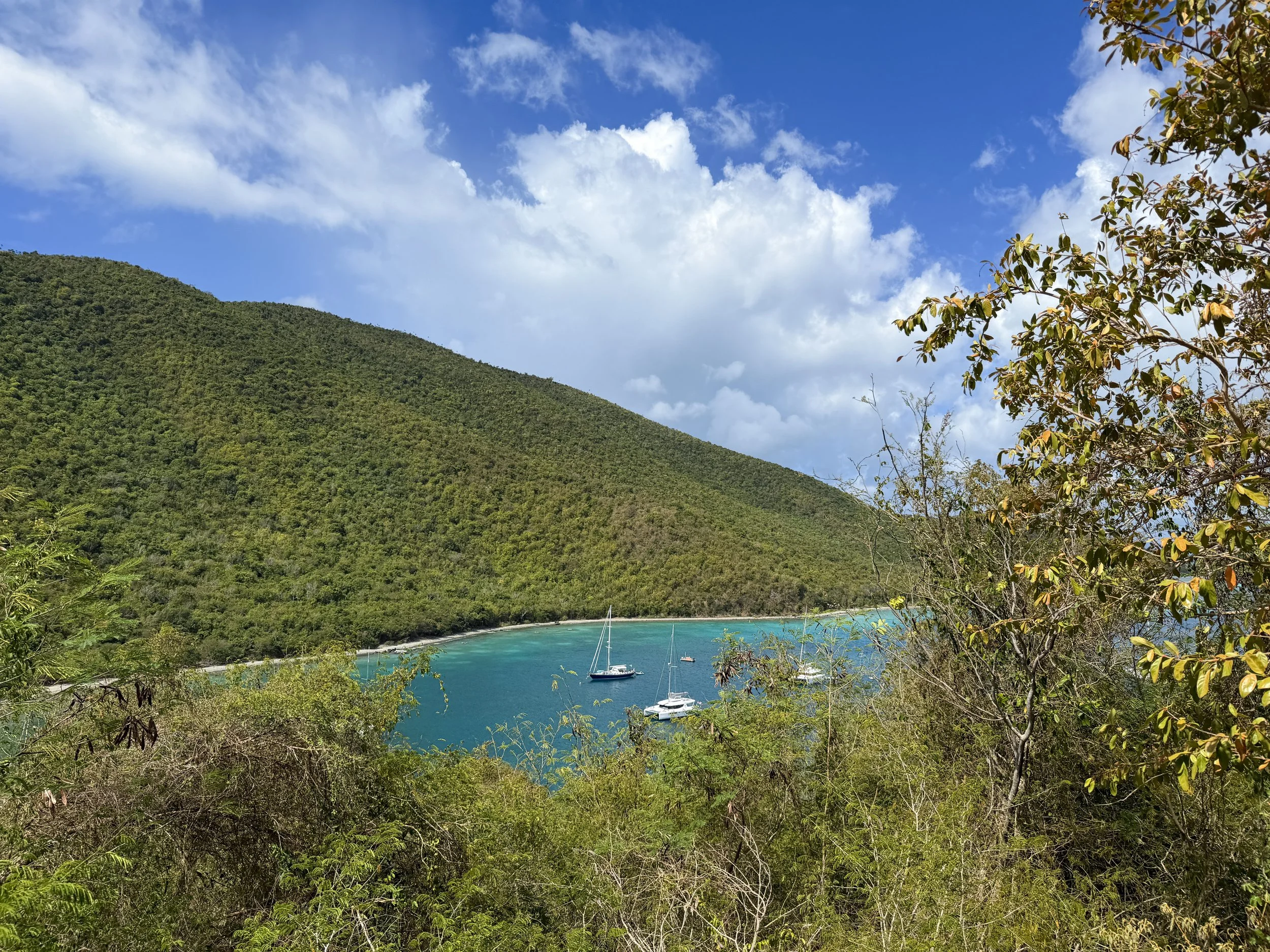 Johnny Horn Trail to Waterlemon Bay Virgin Islands National Park