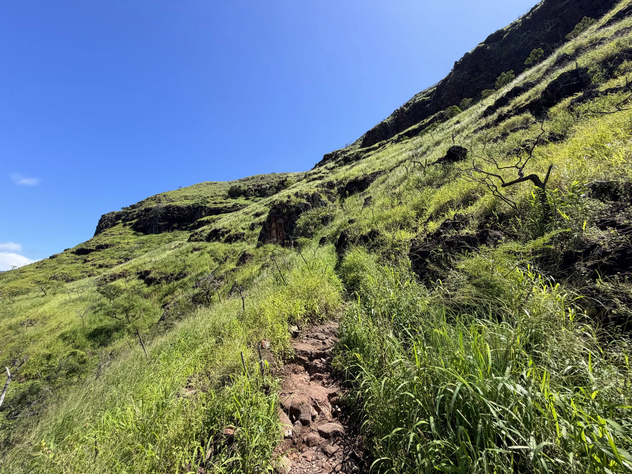 Pink Pillbox Hike Oahu Hawaii