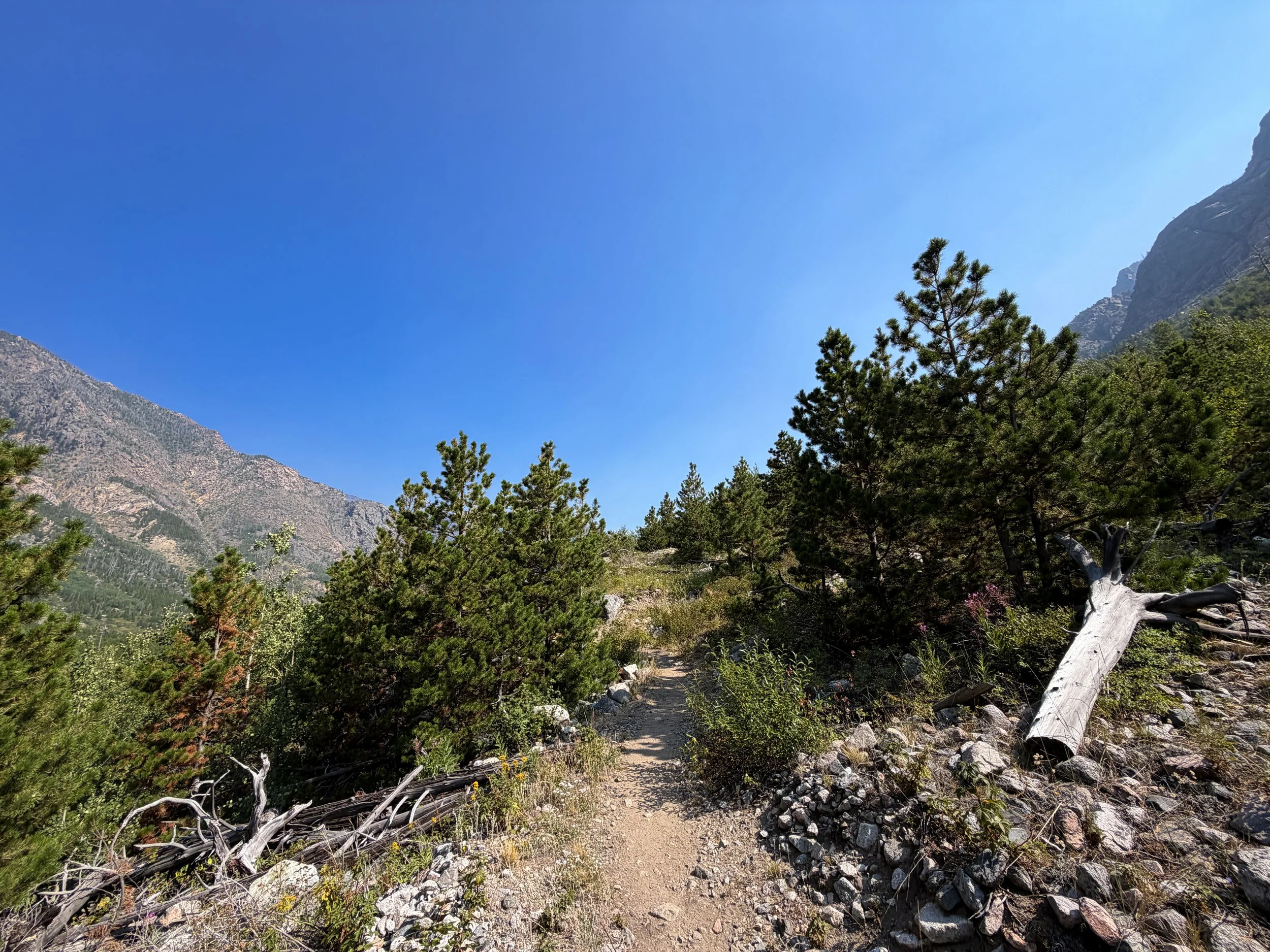Beaten Path Trail Beartooth Mountains Montana