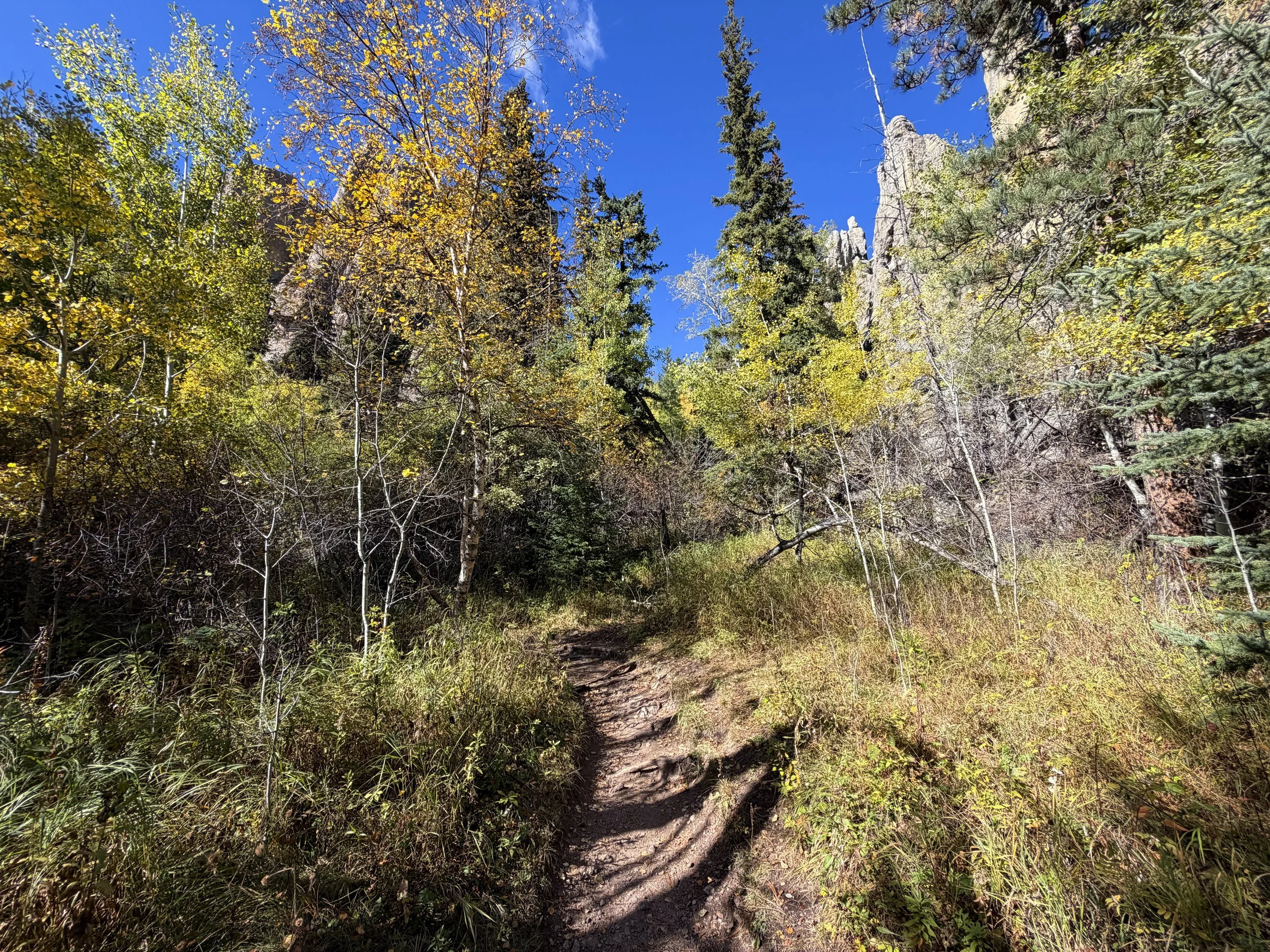 Cathedral Spires Hike Custer State Park Black Hills South Dakota