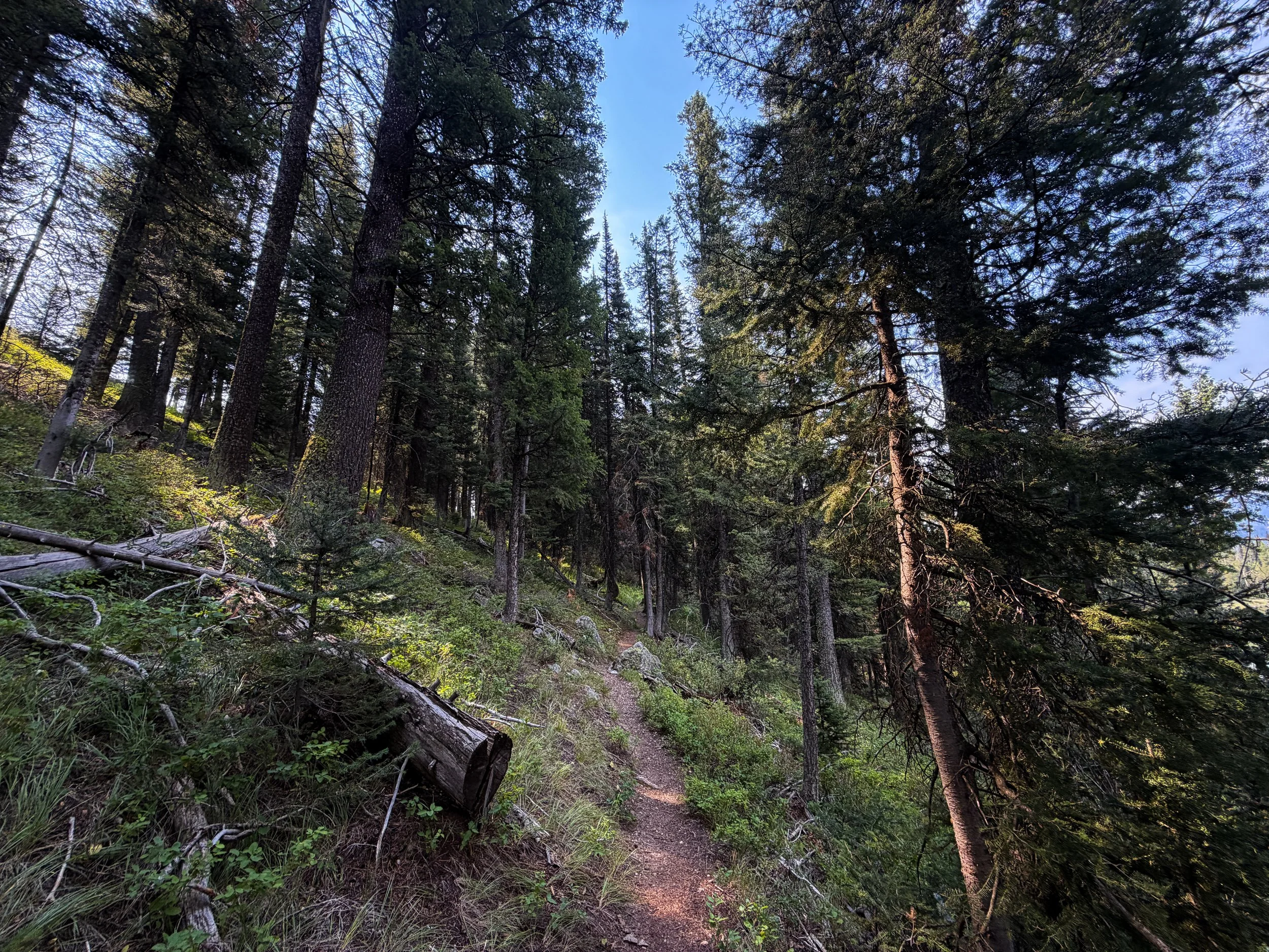Boulder Ridge Loop Trail Grand Teton National Park Wyoming